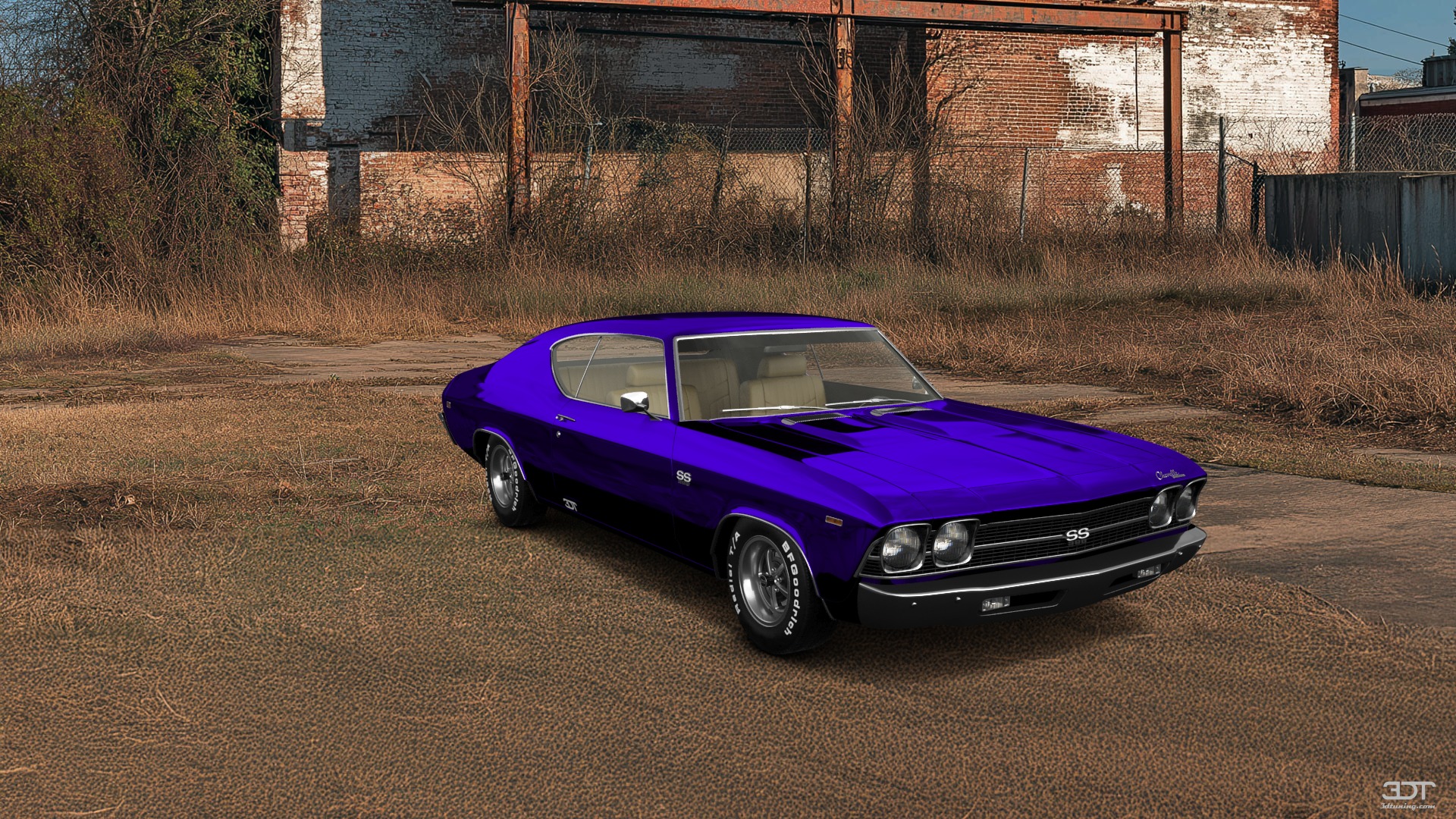Chevrolet Chevelle SS 2 Door Hardtop 1969 Images