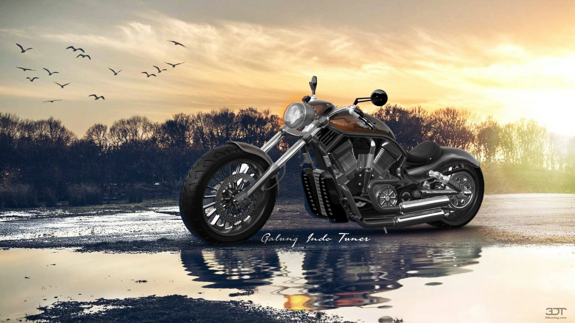 Harley-Davidson Custom Chopper Cruiser 2011 Images