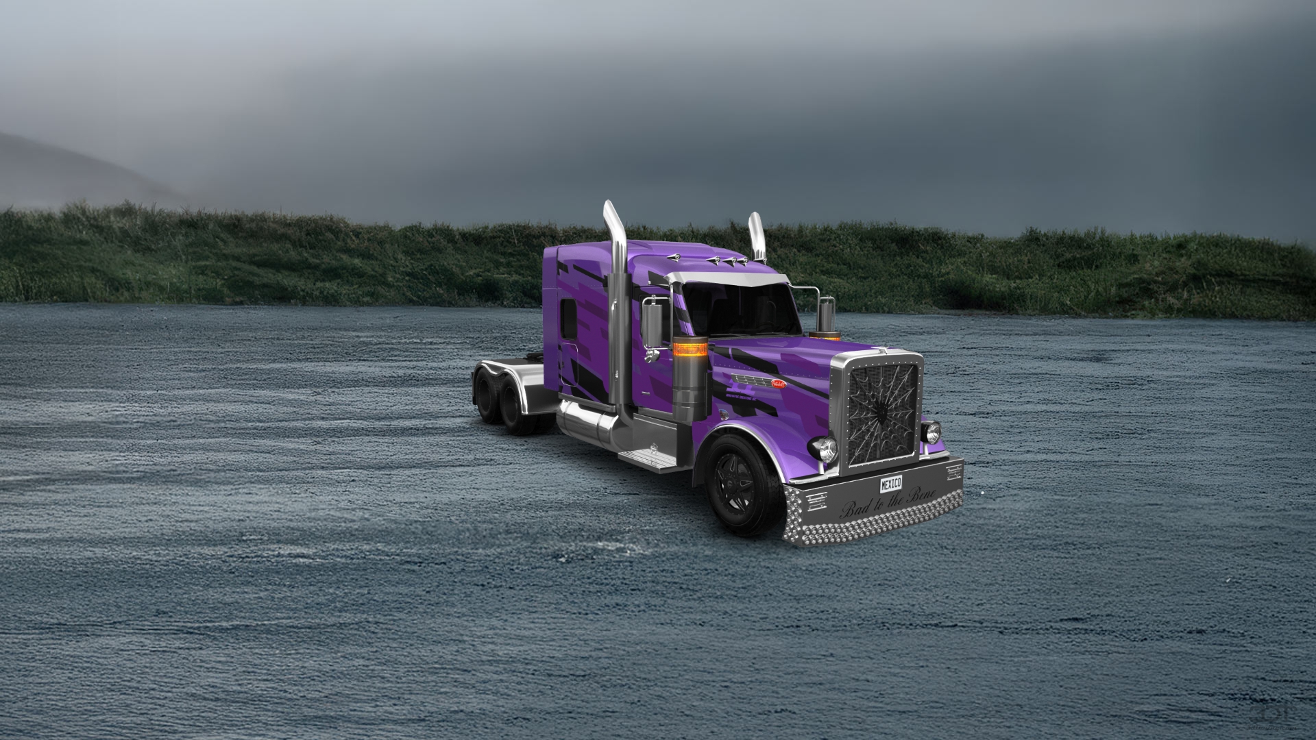 Peterbilt 589 Sleeper Cab Truck 2024