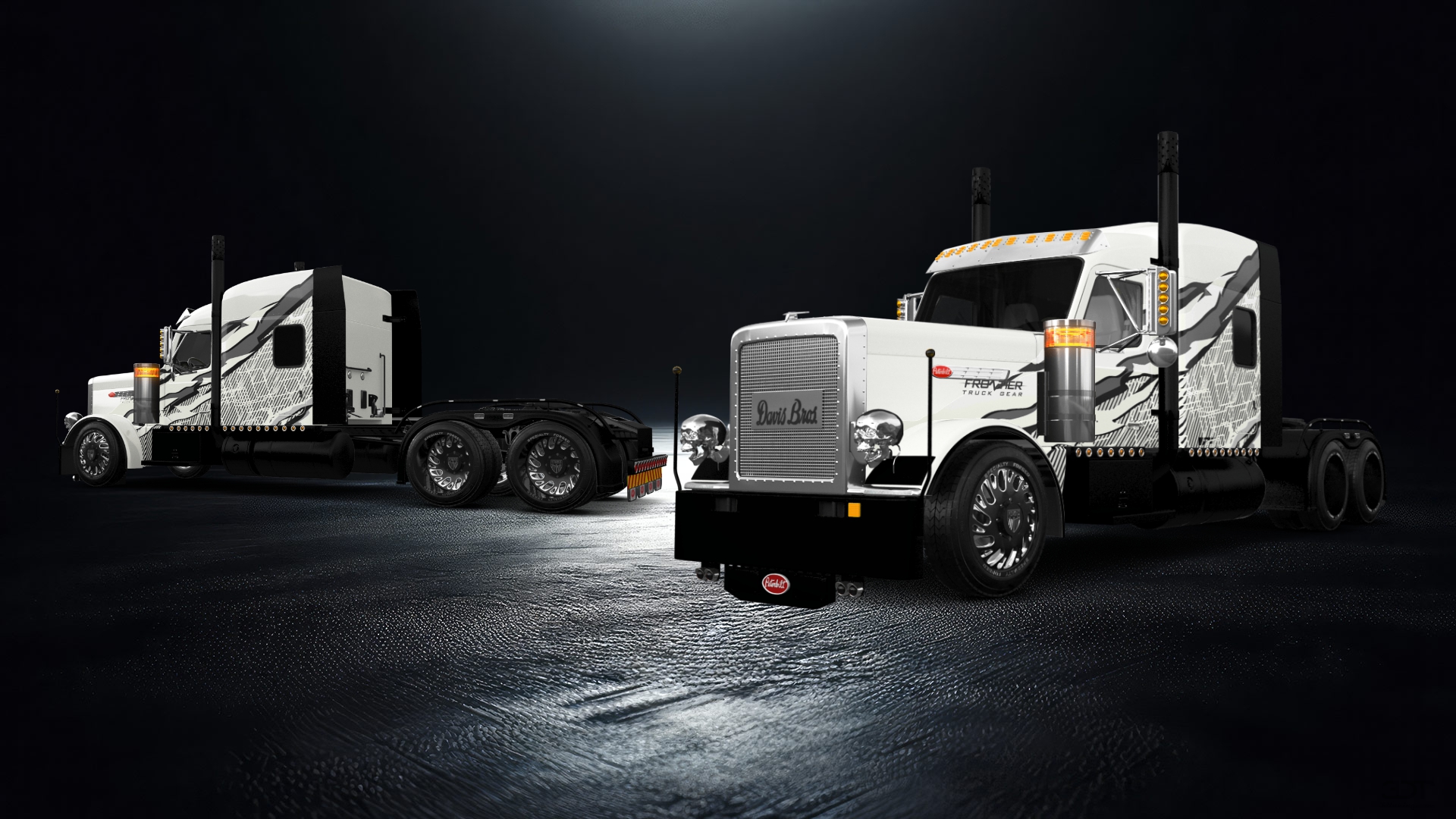 Peterbilt 589 Sleeper Cab Truck 2024