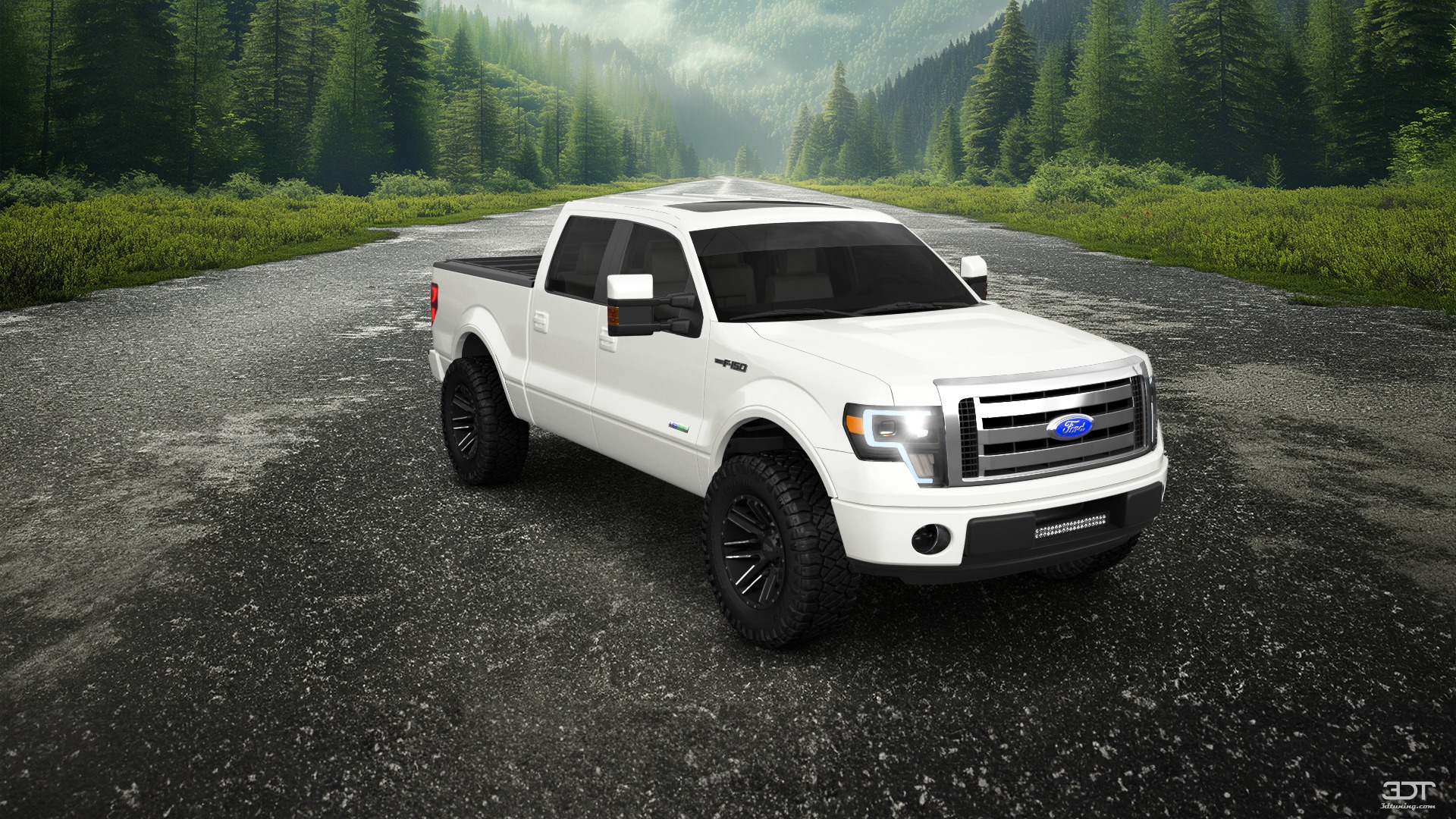 Ford F-150 Crew Cab 4 Door pickup truck 2013