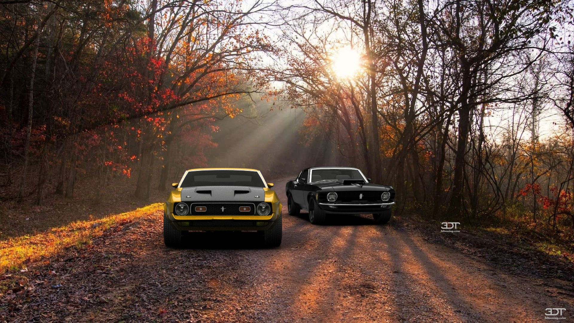 Mustang Mach 1 Coupe 1971 Images