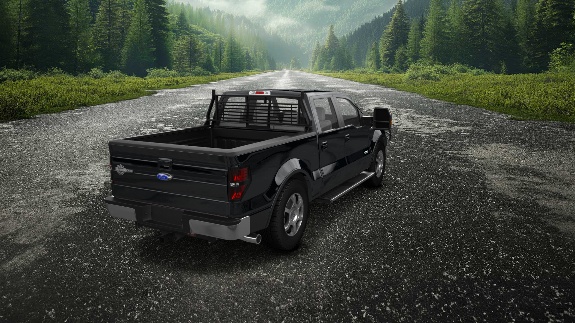 Ford F-150 Crew Cab 4 Door pickup truck 2013