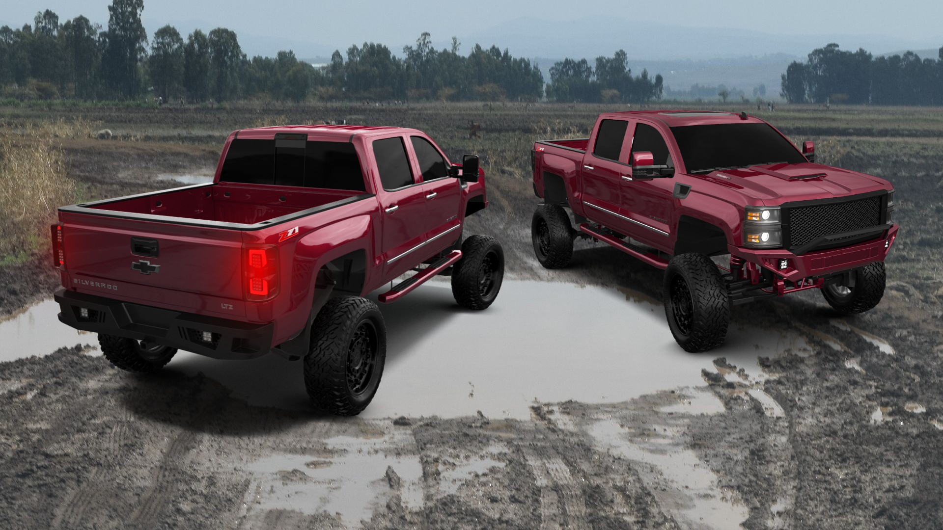 Chevrolet Silverado 1500 4 Door pickup truck 2014