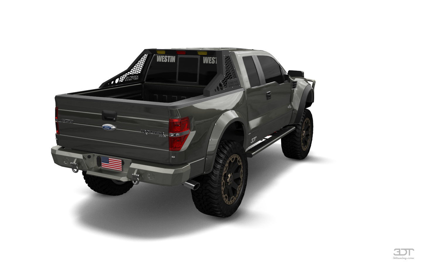 Ford F-150 SVT Raptor 2 Door pickup truck 2010