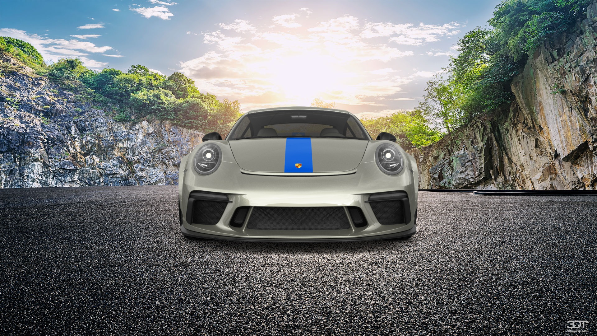 Porsche 911 Carrera 2 Door Coupe 2011