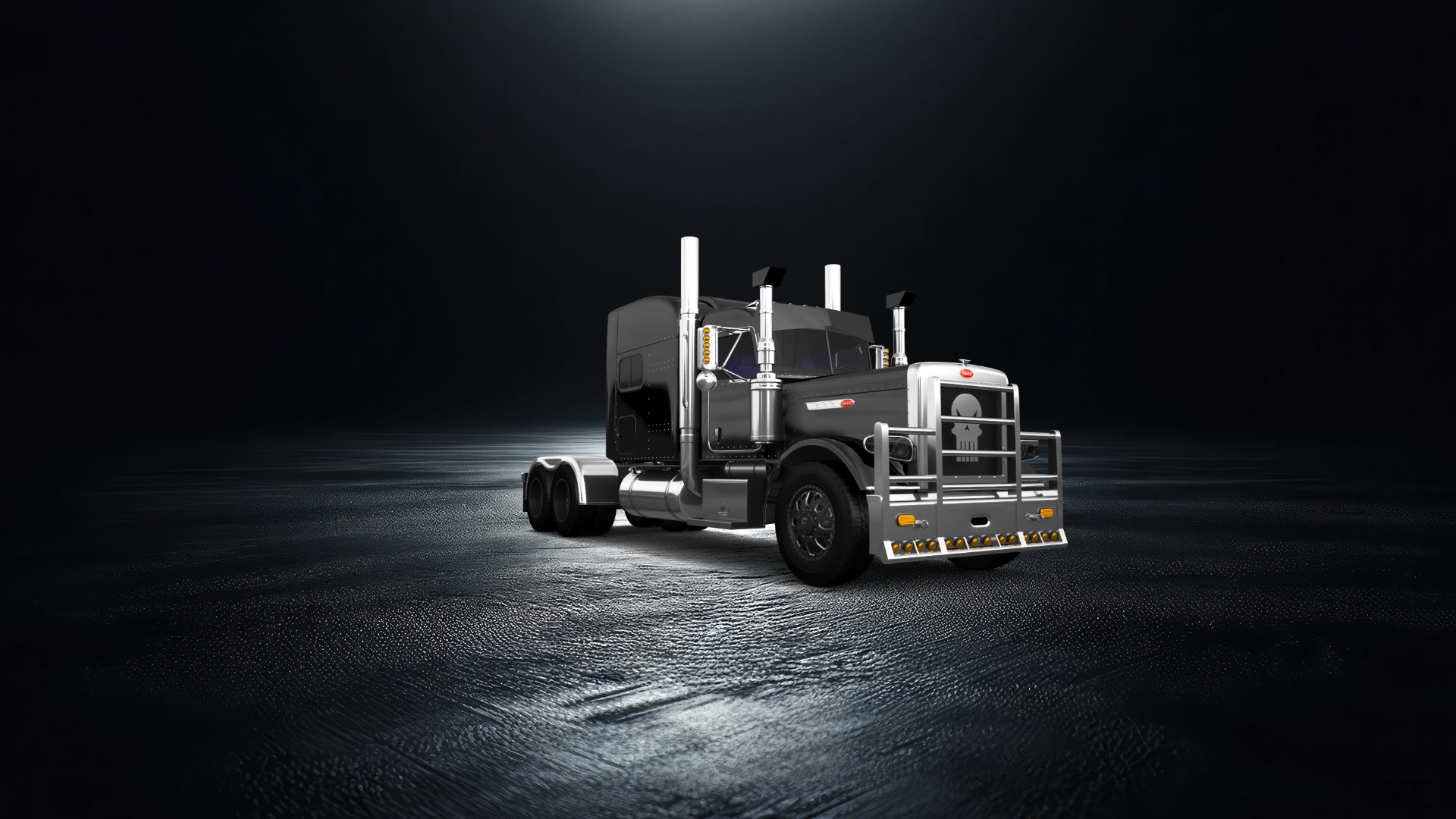 Peterbilt 389 Sleeper Cab Truck 2016