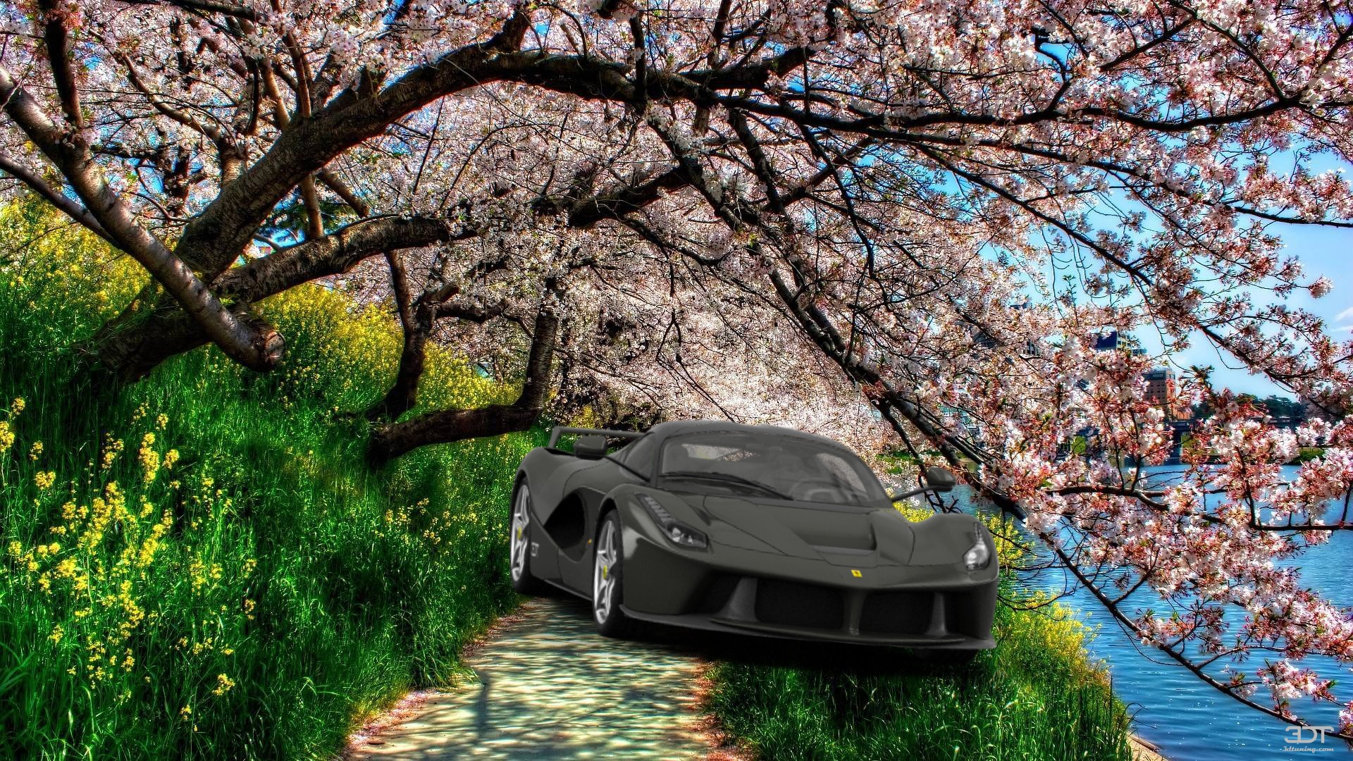 Tuning Ferrari LaFerrari Coupe 2014