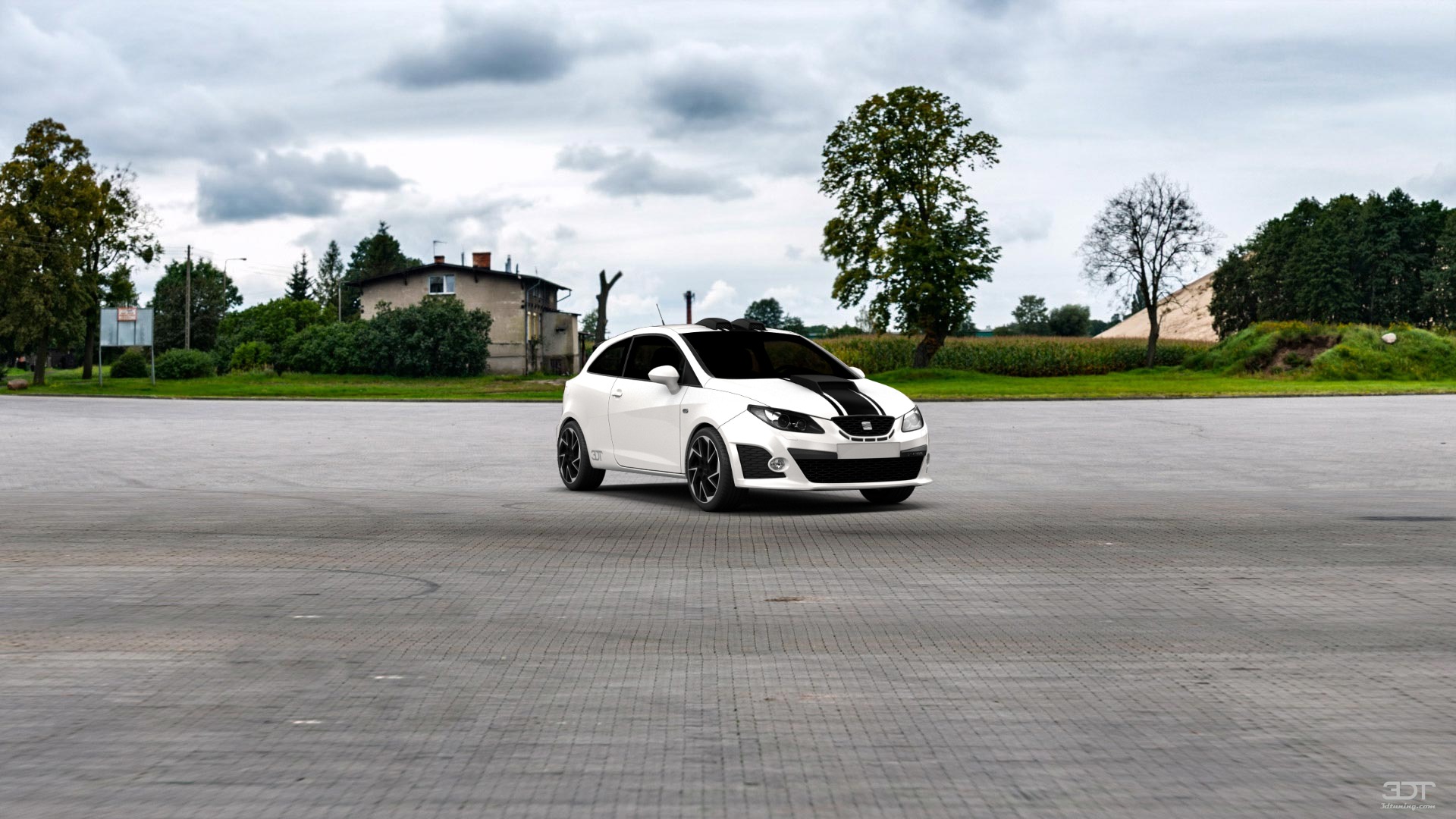 Seat Ibiza Cupra 3 Door Hatchback 2009