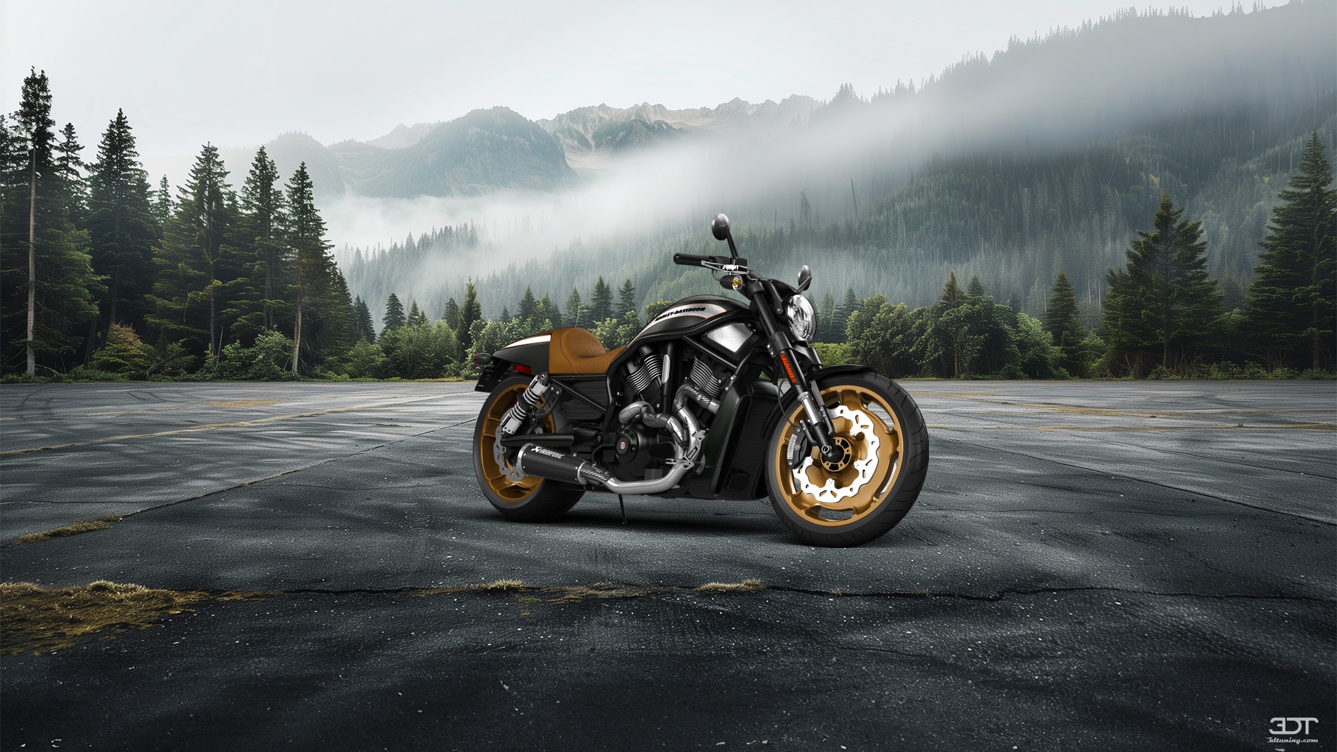 Harley-Davidson V-rod Night Rod Special Cruiser 2013 Images