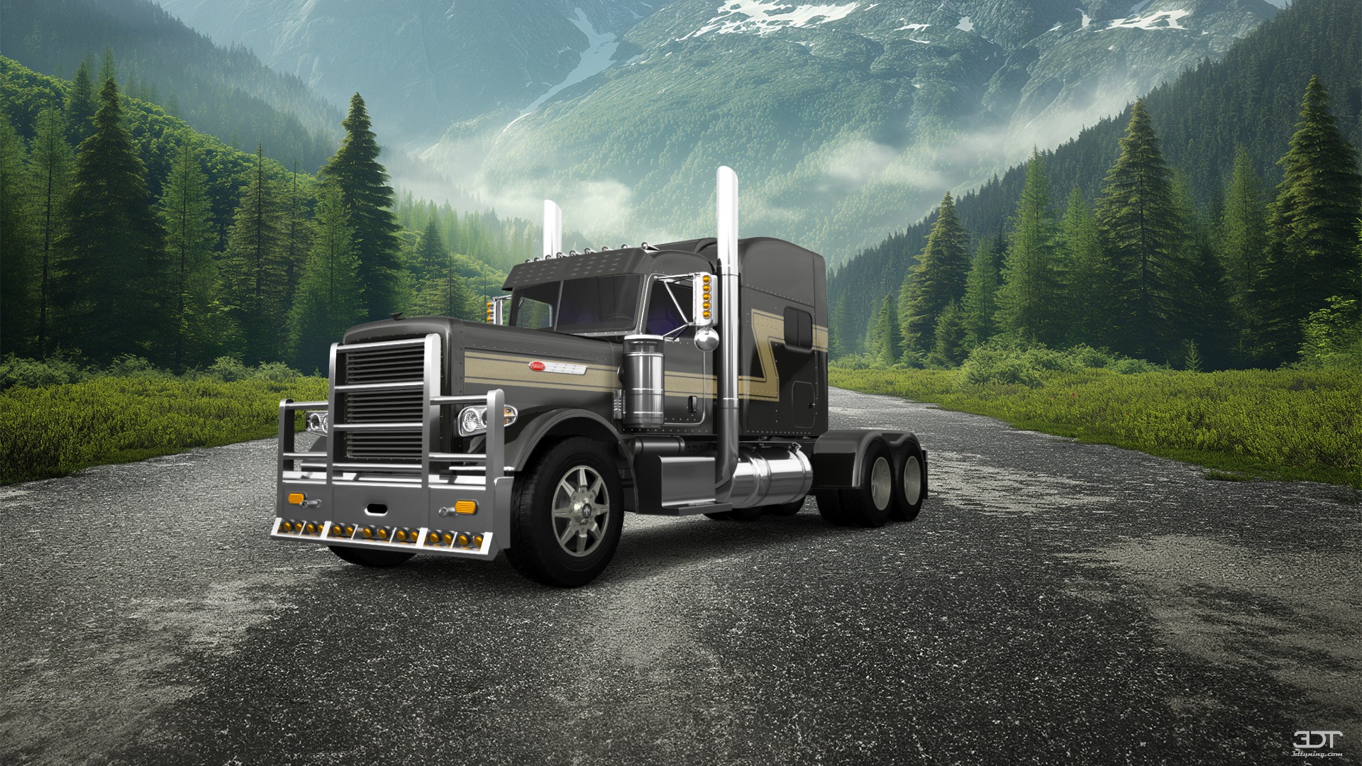 Peterbilt 389 Sleeper Cab Truck 2016