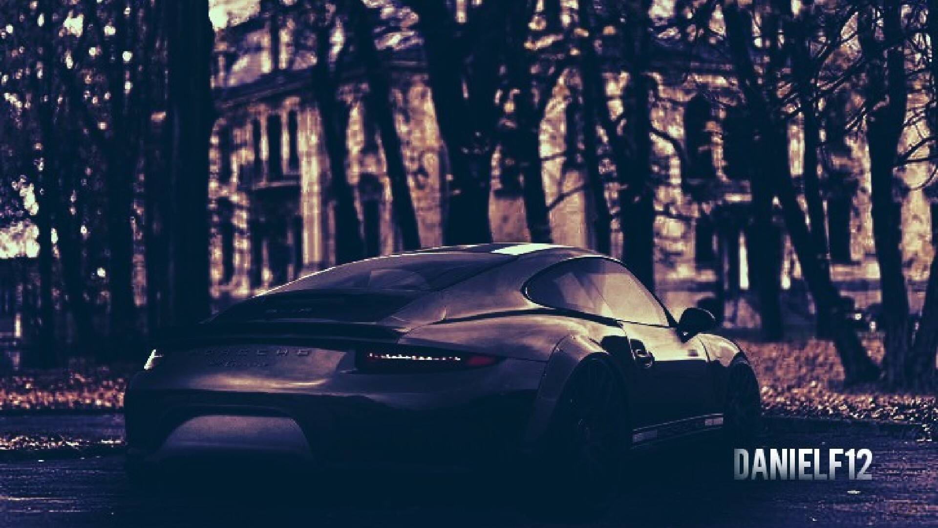 Porsche 911 Carrera 2 Door Coupe 2011