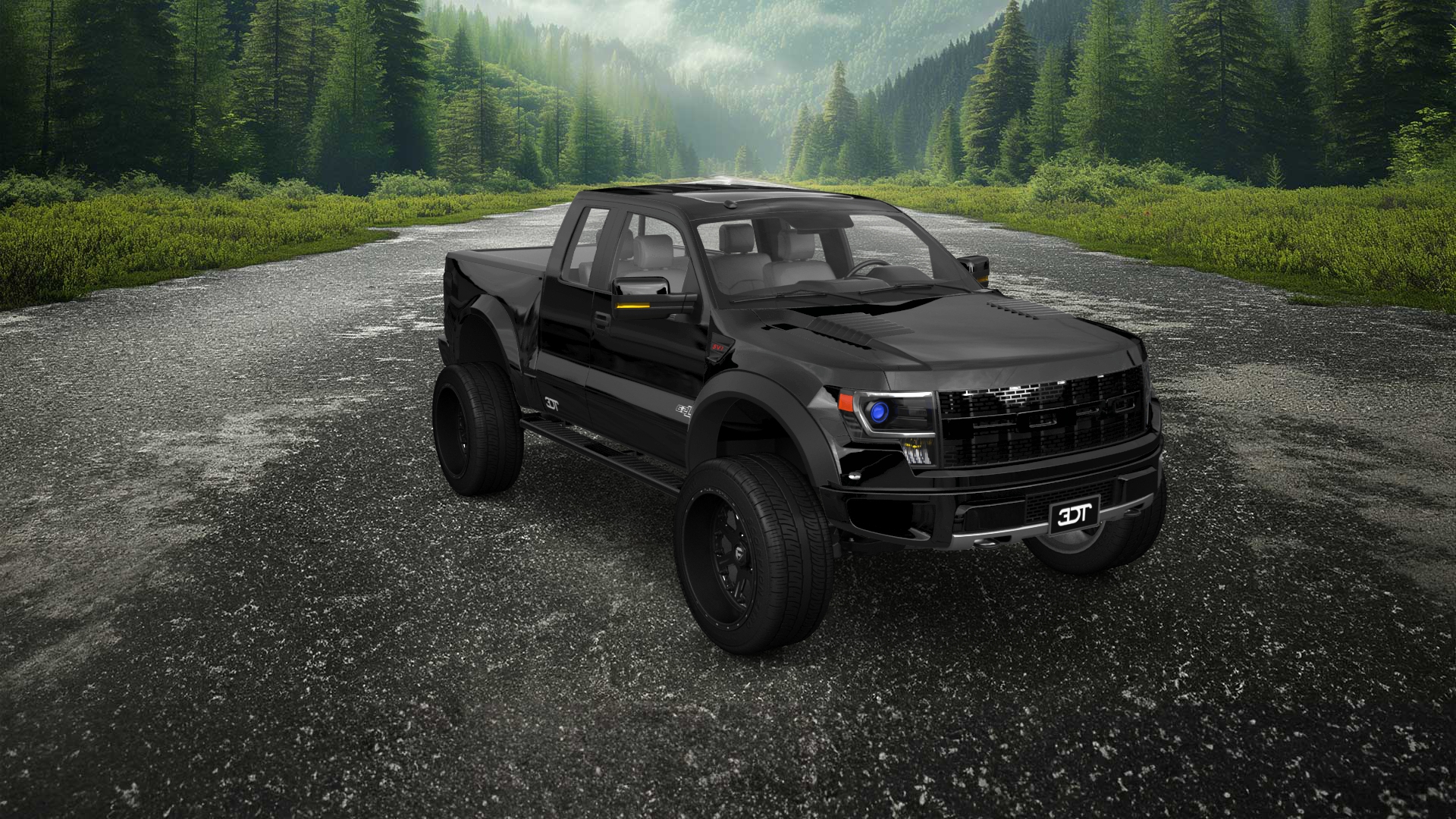 Ford F-150 SVT Raptor 2 Door pickup truck 2010 tuning