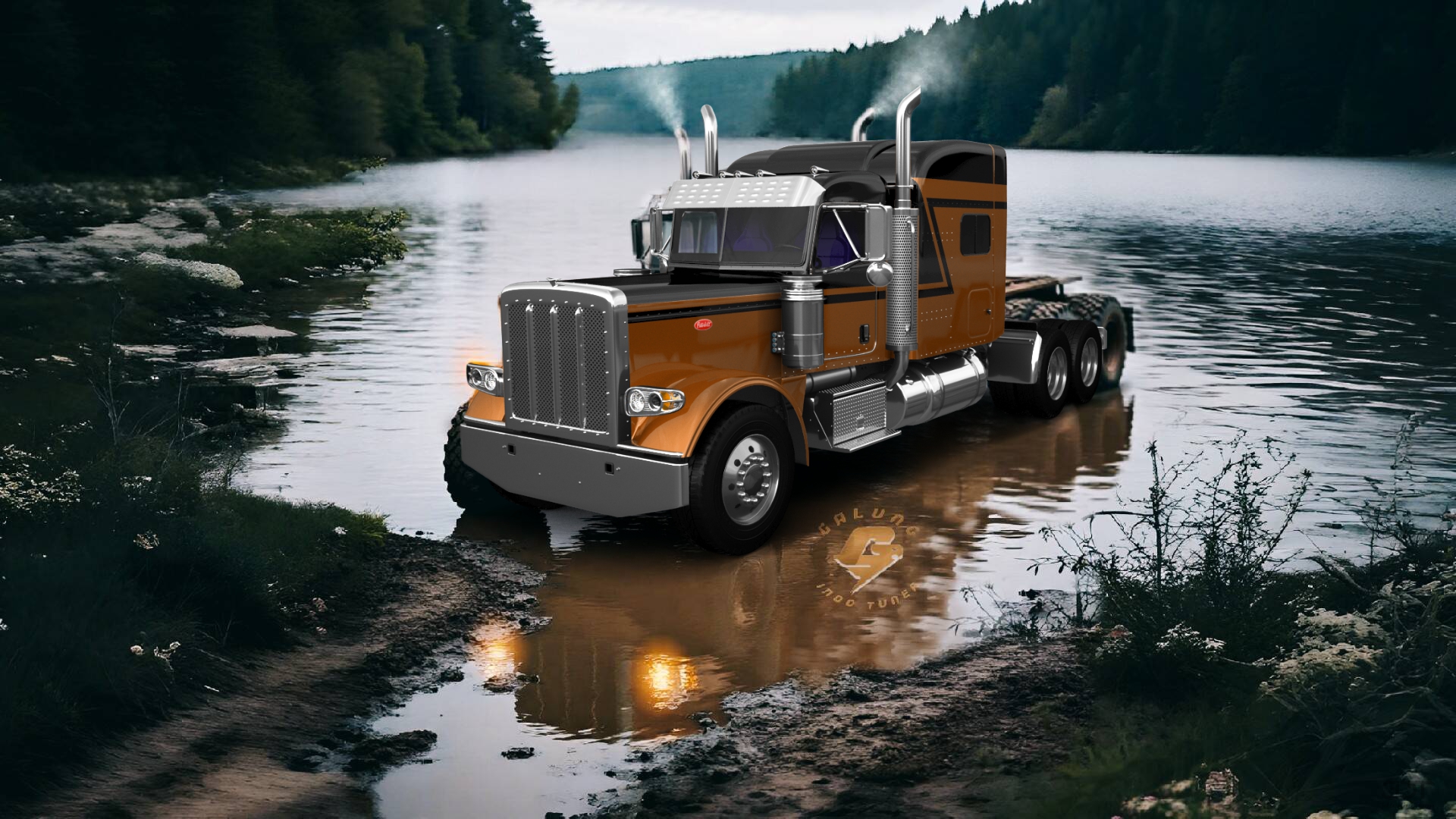 Peterbilt 389 Sleeper Cab Truck 2016