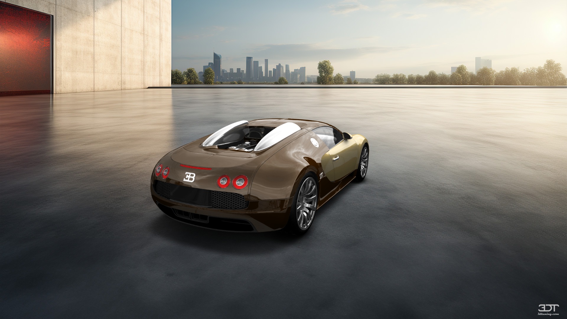 Bugatti Veyron 2 Door Coupe 2005 Images