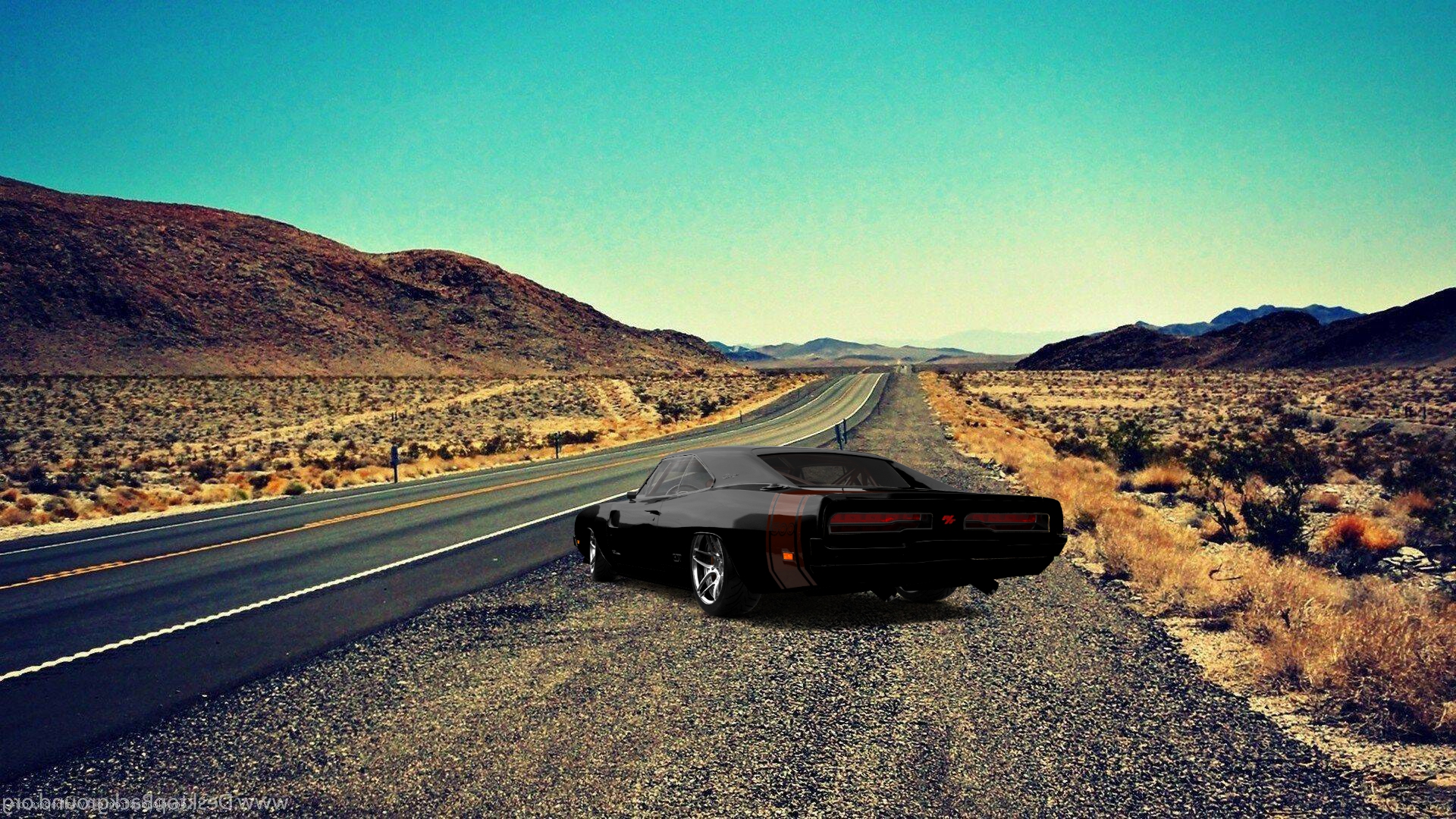 Dodge Charger 2 Door Coupe 1969 Images