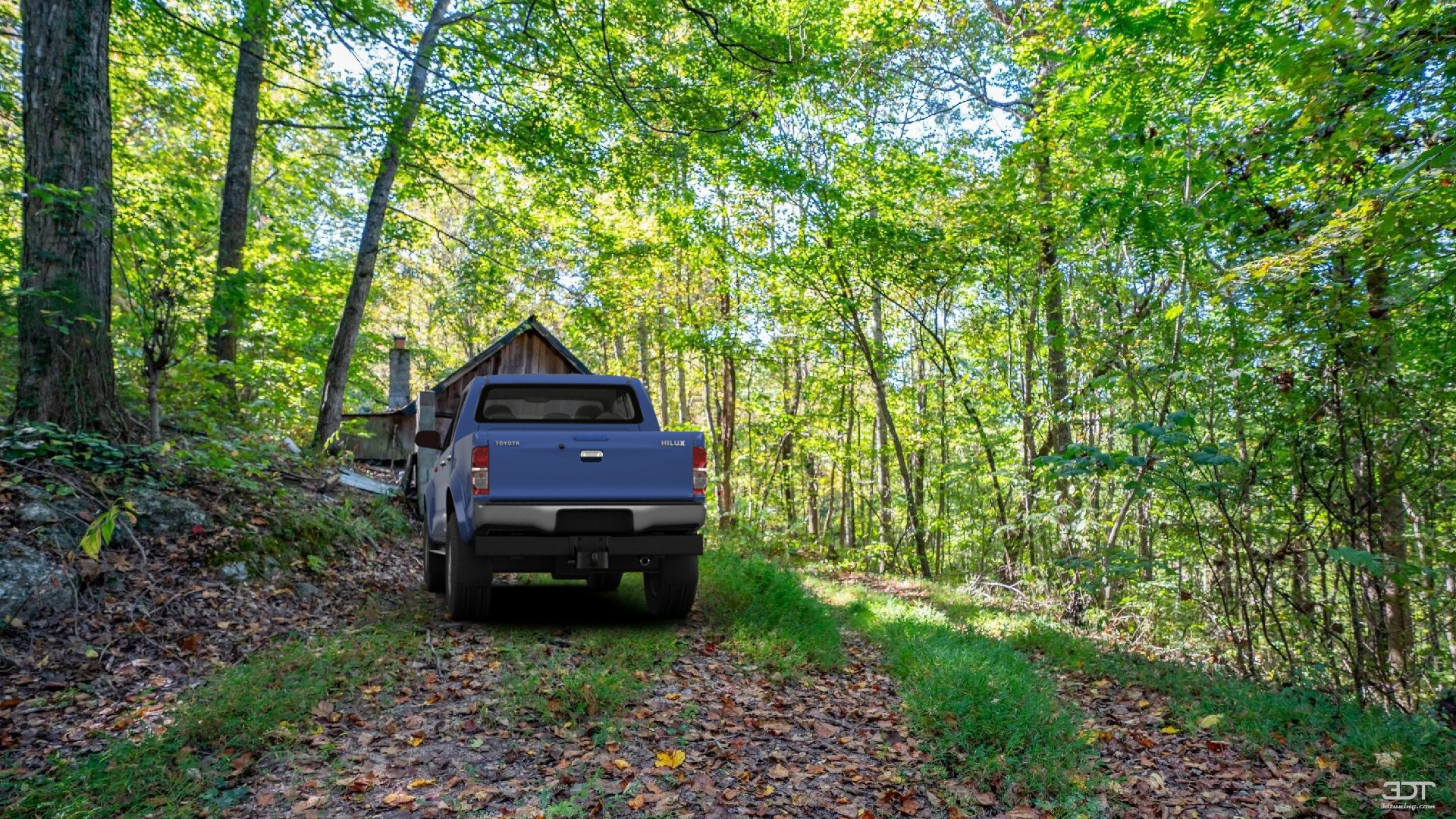 Toyota Hilux Pickup 2009