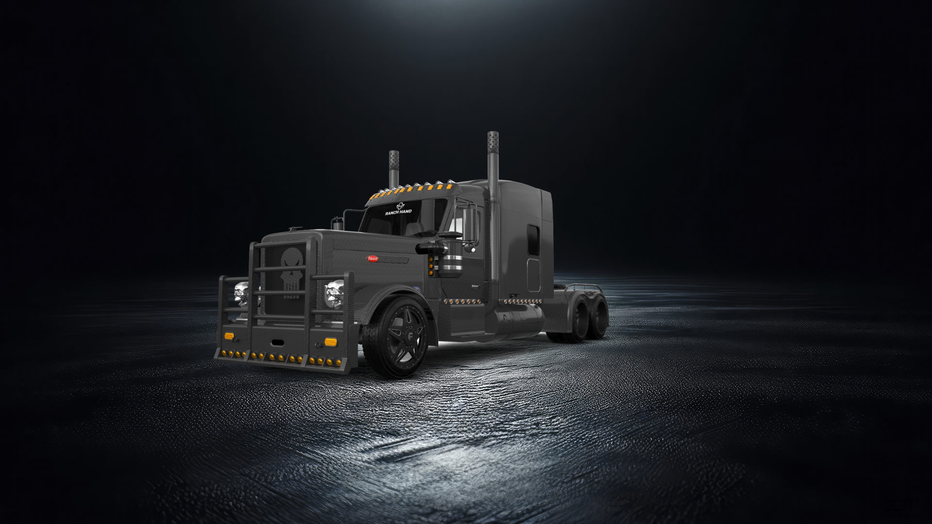 Peterbilt 589 Sleeper Cab Truck 2024