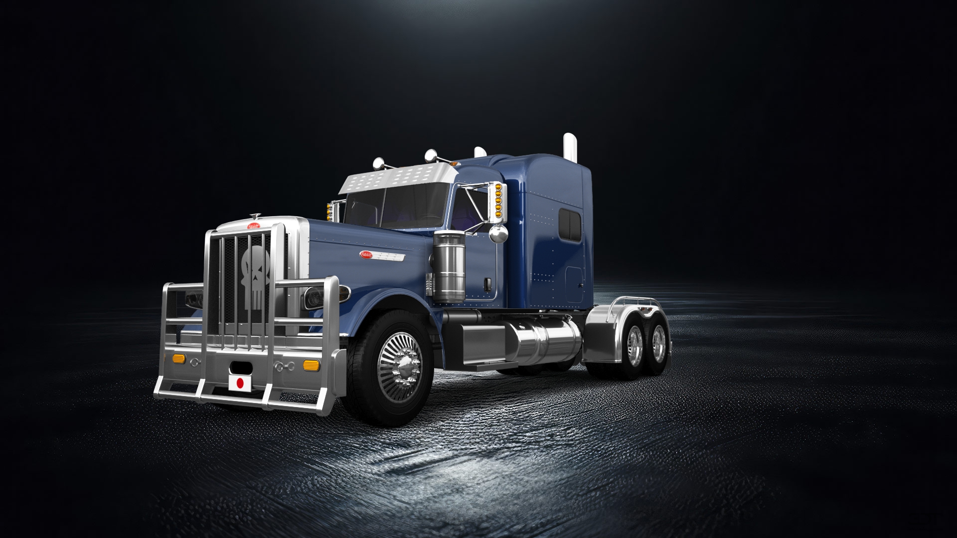 Peterbilt 389 Sleeper Cab Truck 2016