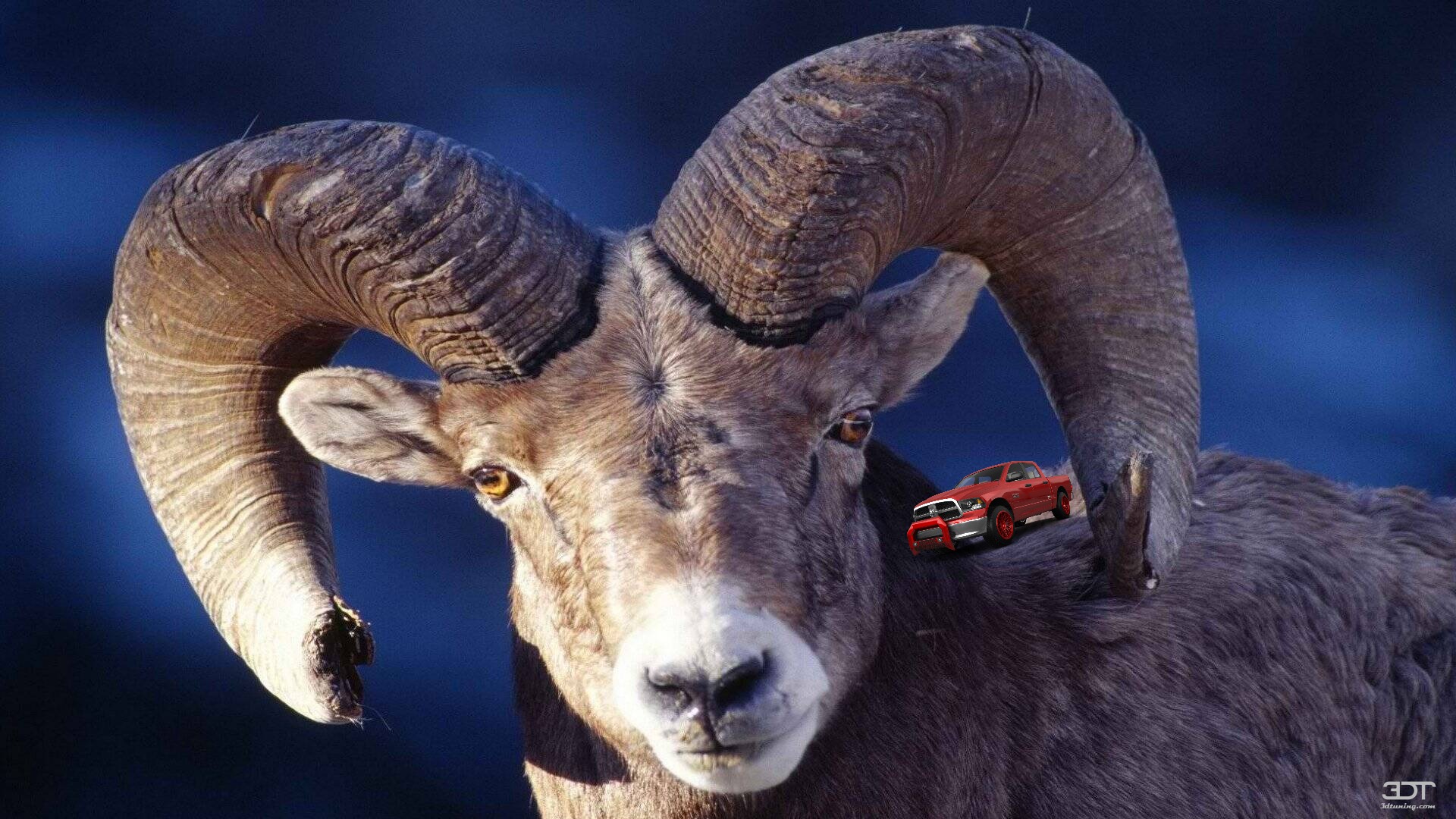 Dodge Ram 1500 5.7' box 4 Door pickup truck 2010 tuning