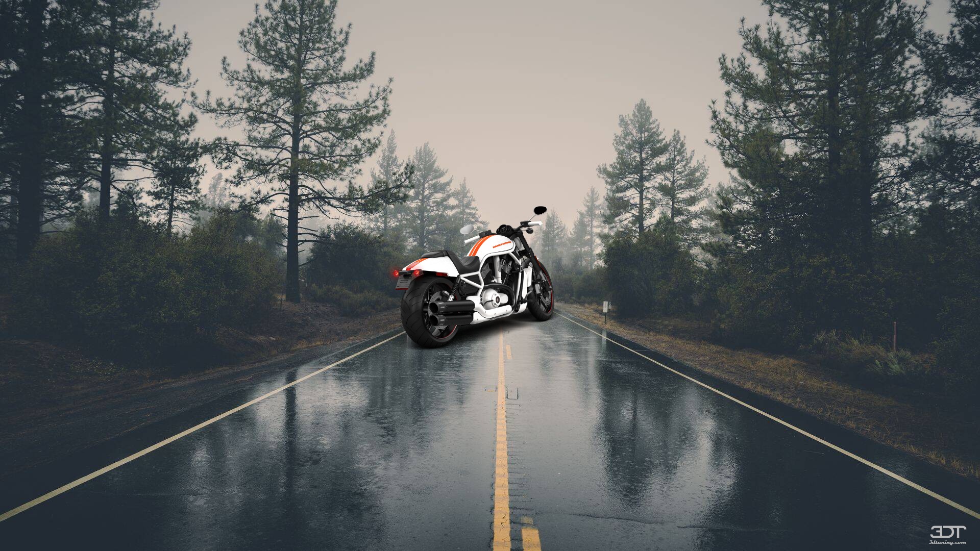 Harley-Davidson V-rod Night Rod Special Cruiser 2013 tuning