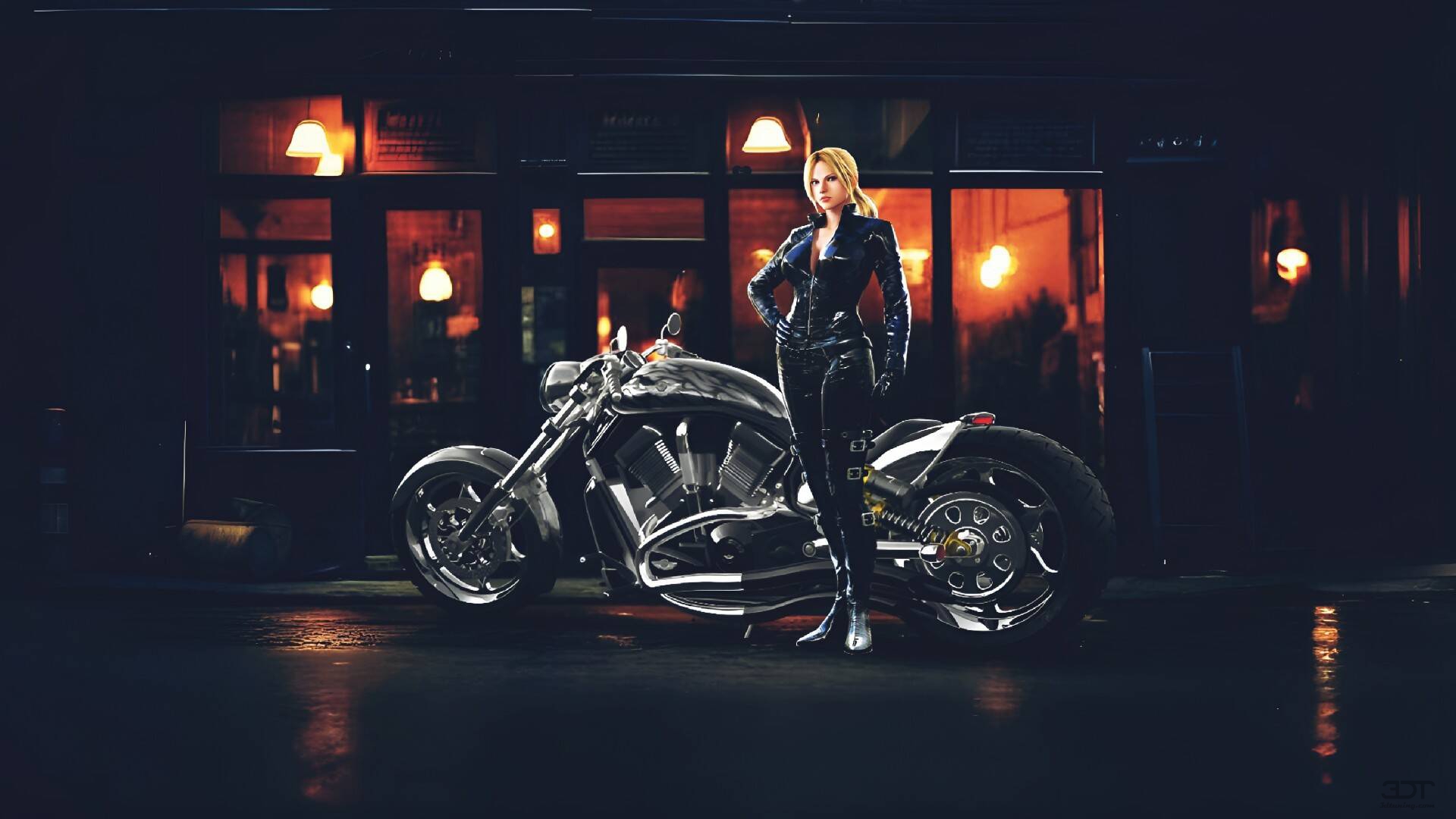 Harley-Davidson Custom Chopper Cruiser 2011