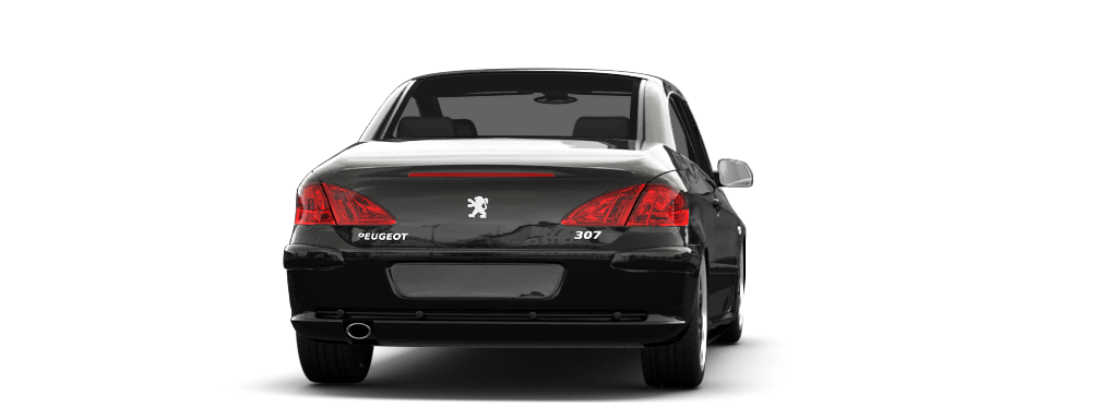 Peugeot tuning 4