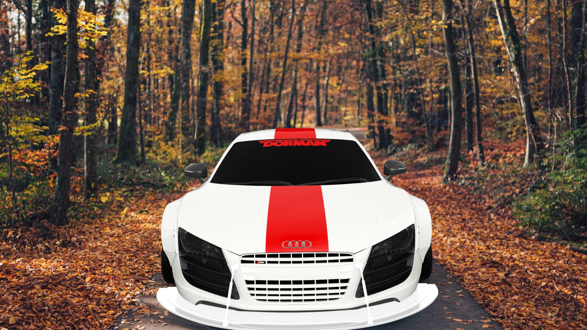 Audi R8 2 Door Coupe 2008 Images