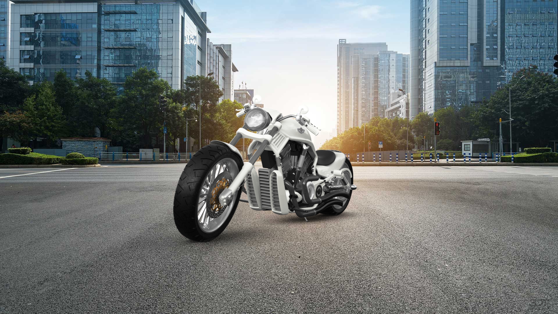 Harley-Davidson Custom Chopper Cruiser 2011