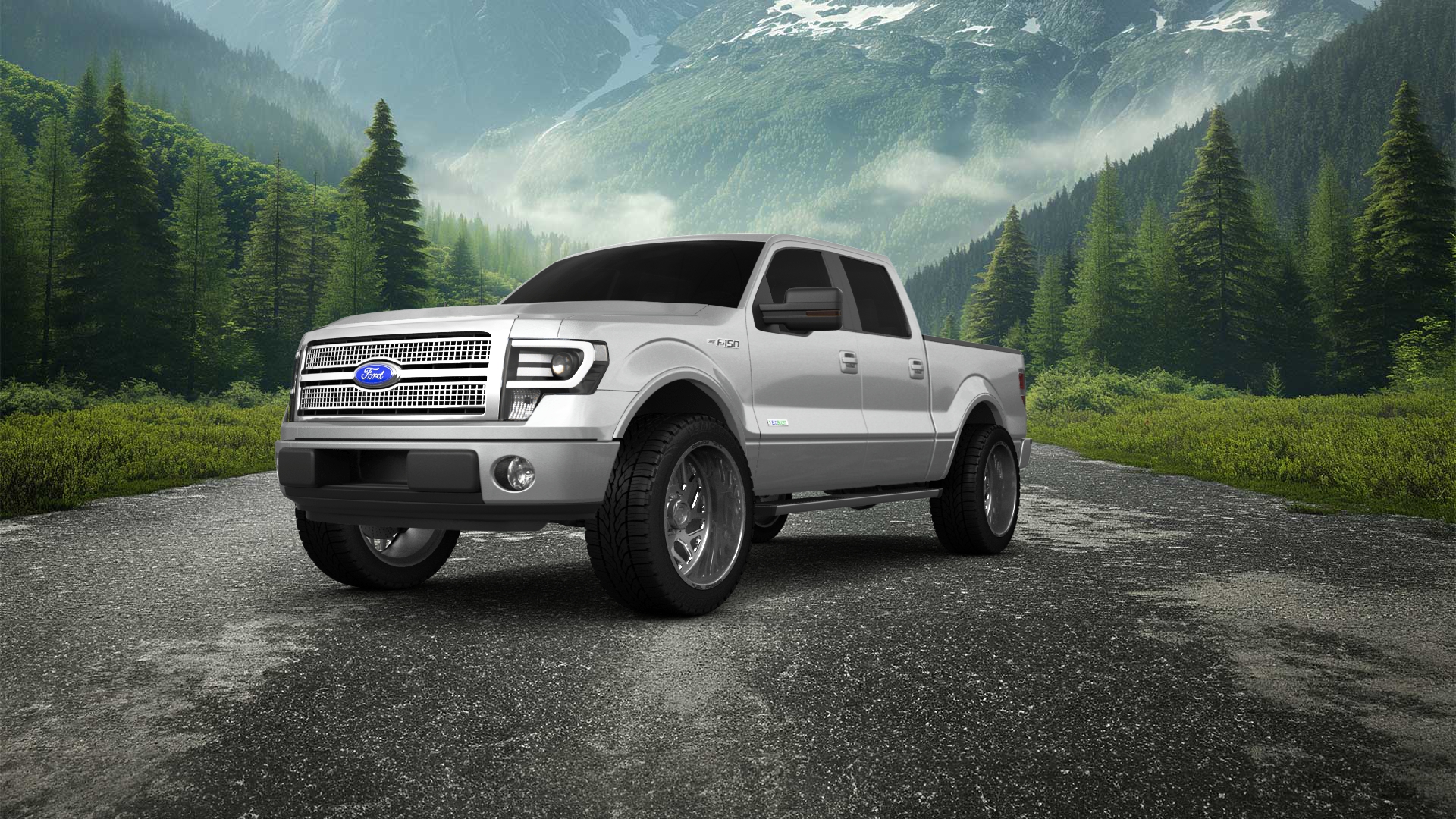 Ford F-150 Crew Cab 4 Door pickup truck 2013