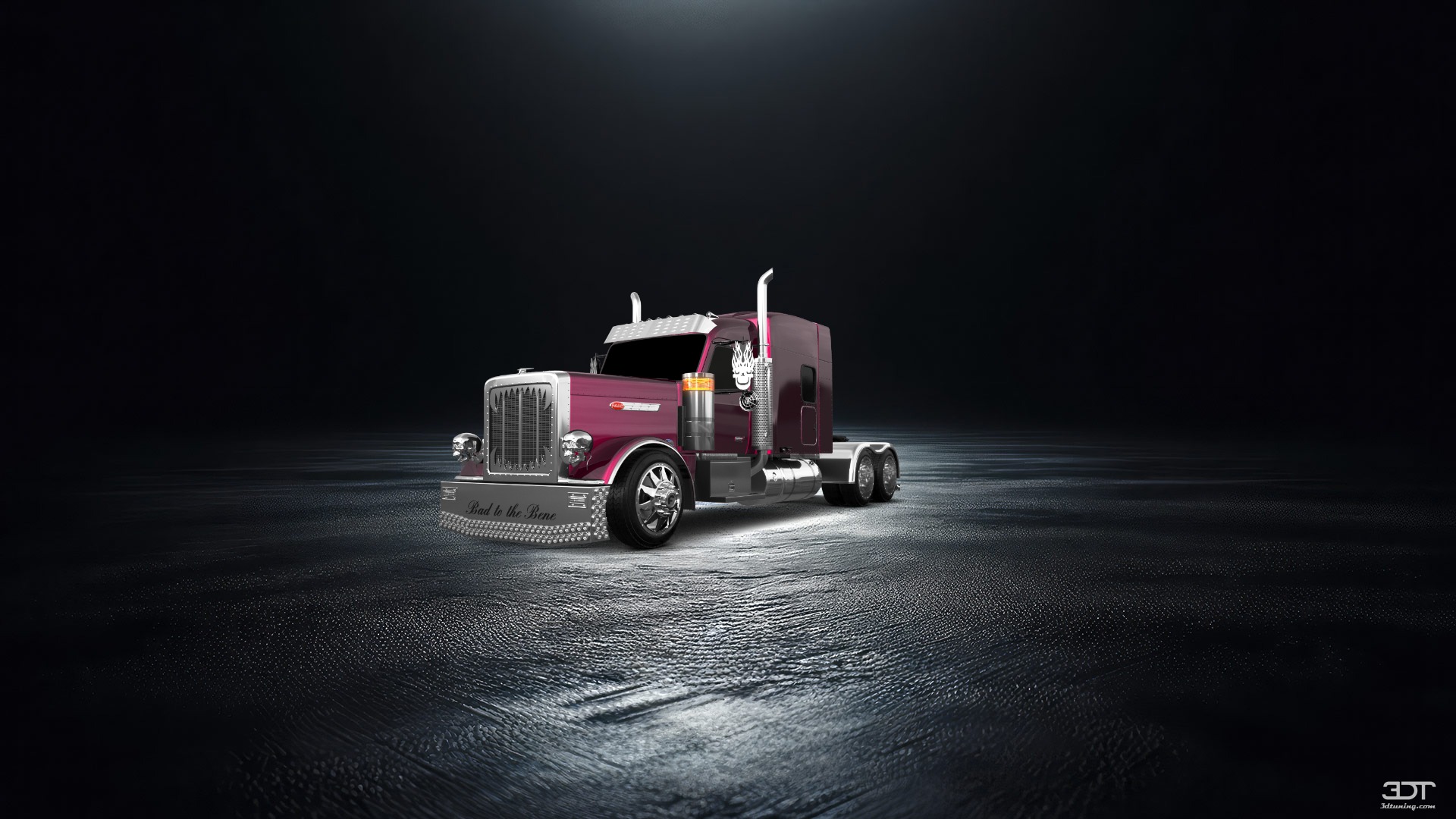 Peterbilt 589 Sleeper Cab Truck 2024