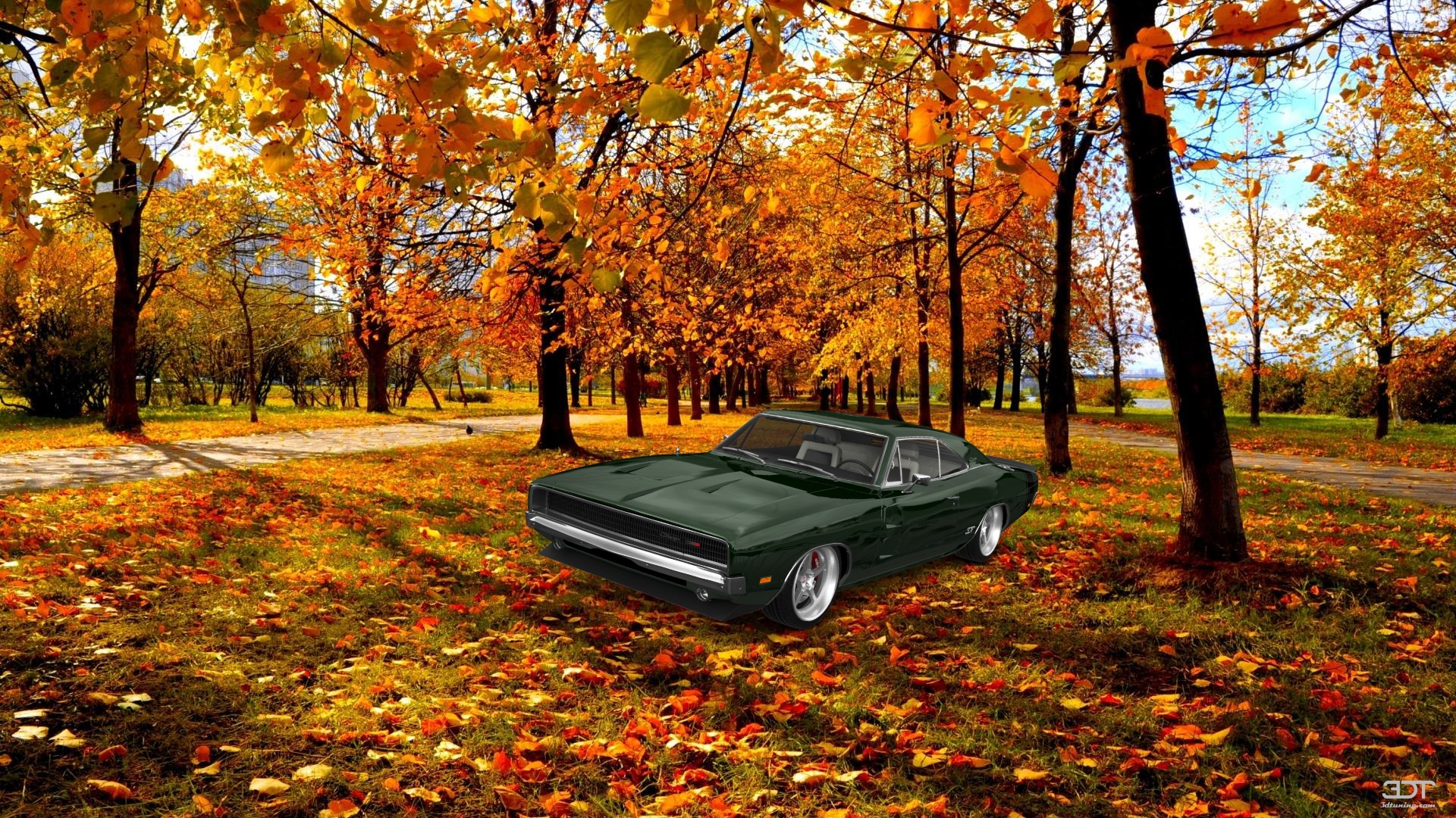 Dodge Charger 2 Door Coupe 1969 Images