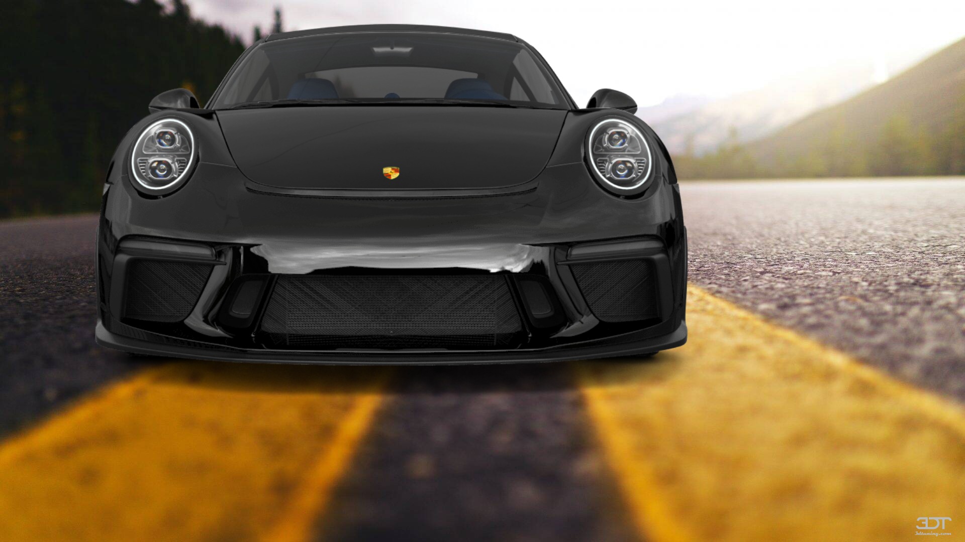 Porsche 911 Carrera 2 Door Coupe 2011