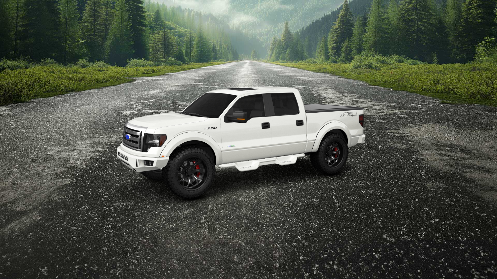 Ford F-150 Crew Cab 4 Door pickup truck 2013