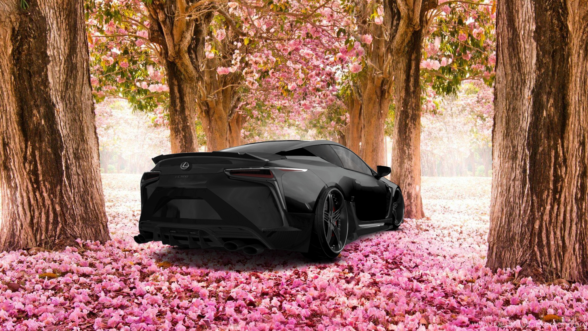 Lexus LC500 2 door fastback coupe 2017 Images
