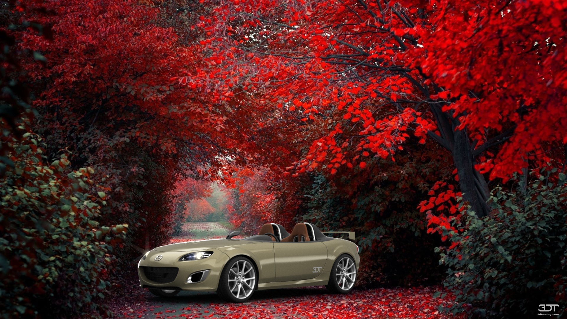 Mazda MX-5 Superlight Convertible 2010 图片