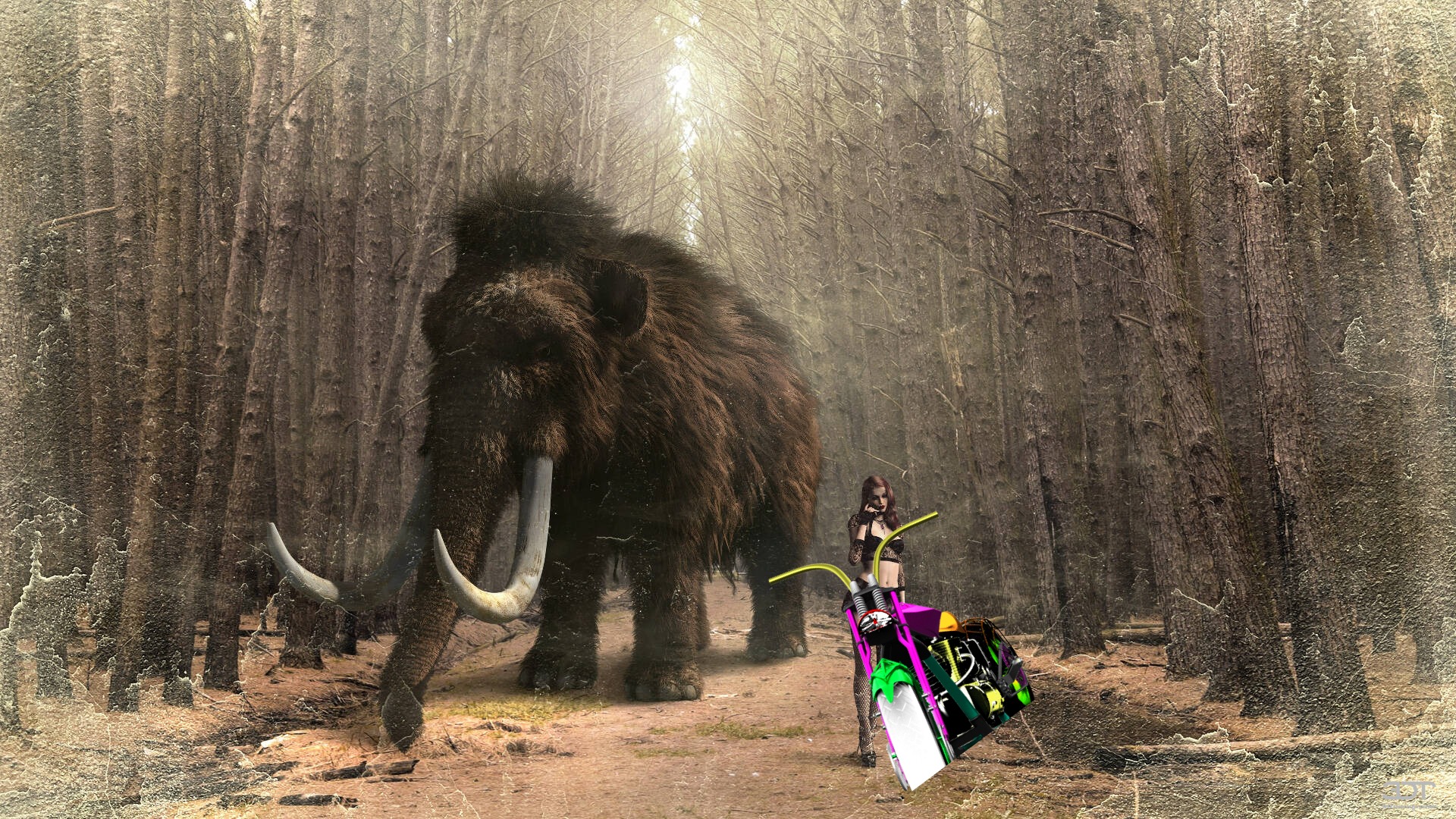 Custom Chopper Chopper 2017 Images