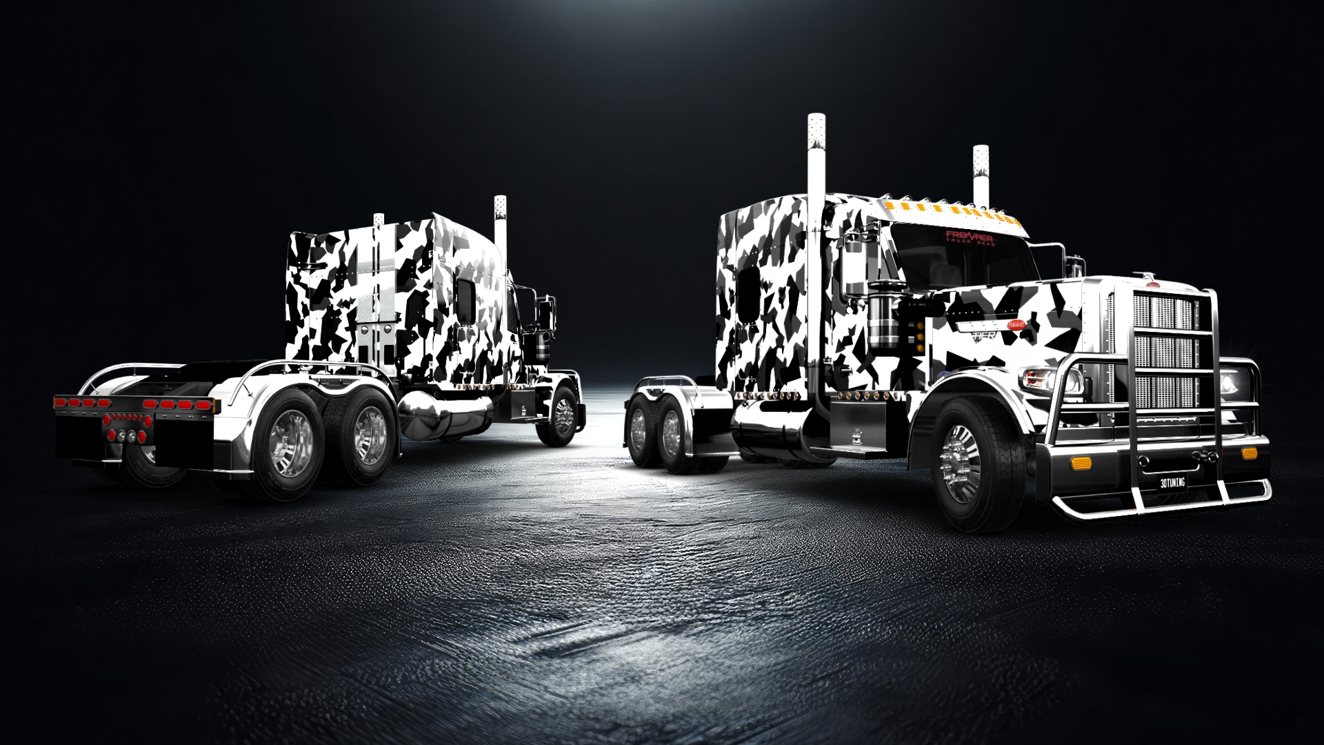 Peterbilt 589 Sleeper Cab Truck 2024