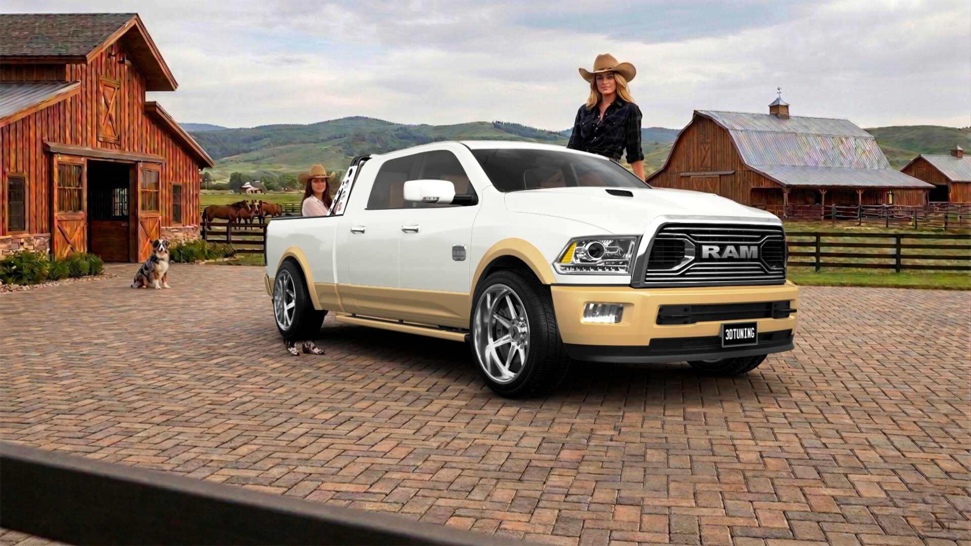 Dodge Ram 2500 Mega Cab 6.4 ft box 4 Door pickup truck 2010 Images