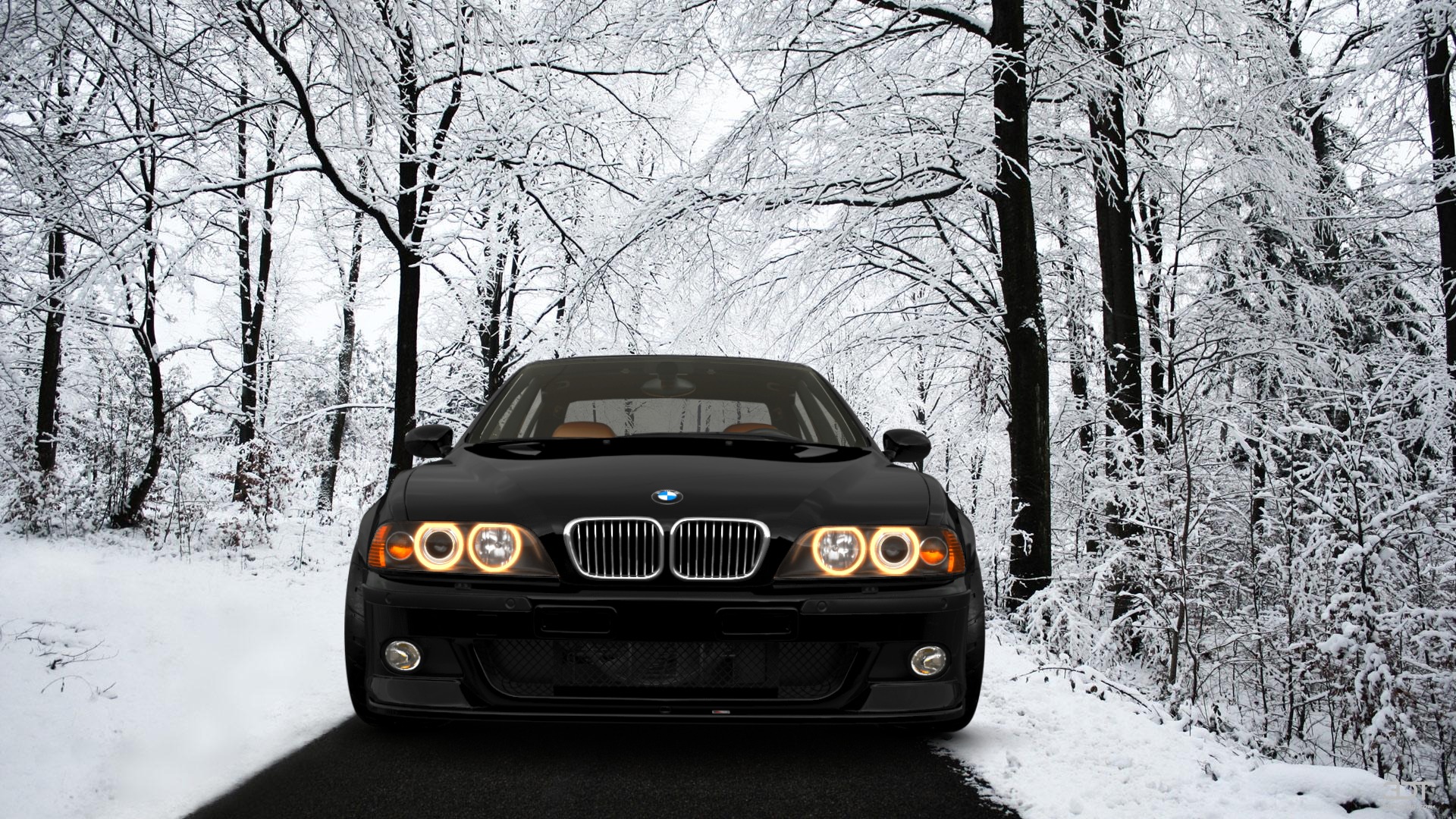 BMW 5 Series M5 Sedan 2003 Images
