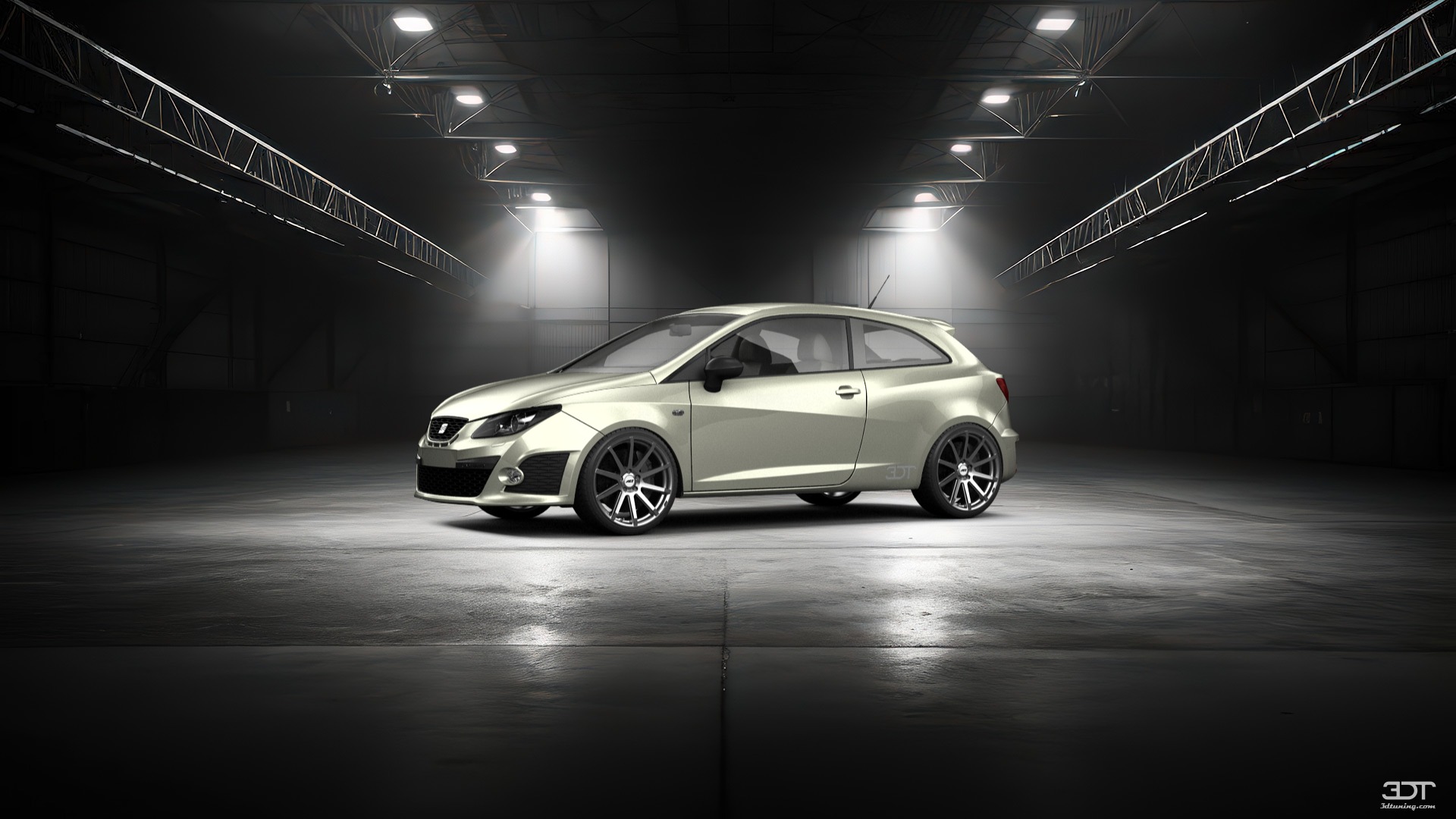 Seat Ibiza Cupra 3 Door Hatchback 2009 Images