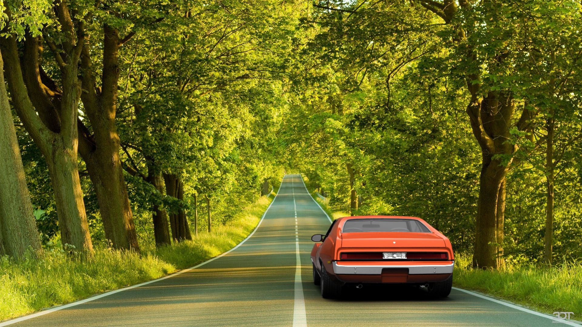 AMC Javelin-AMX Coupe 1971 Images