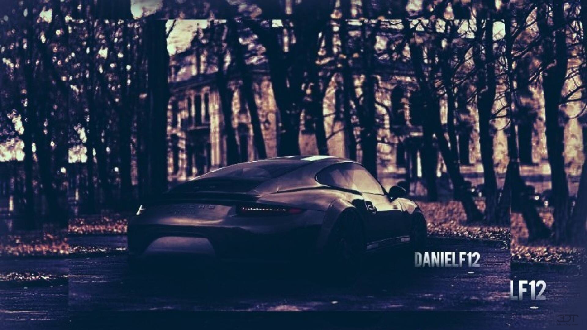 Porsche 911 Carrera 2 Door Coupe 2011