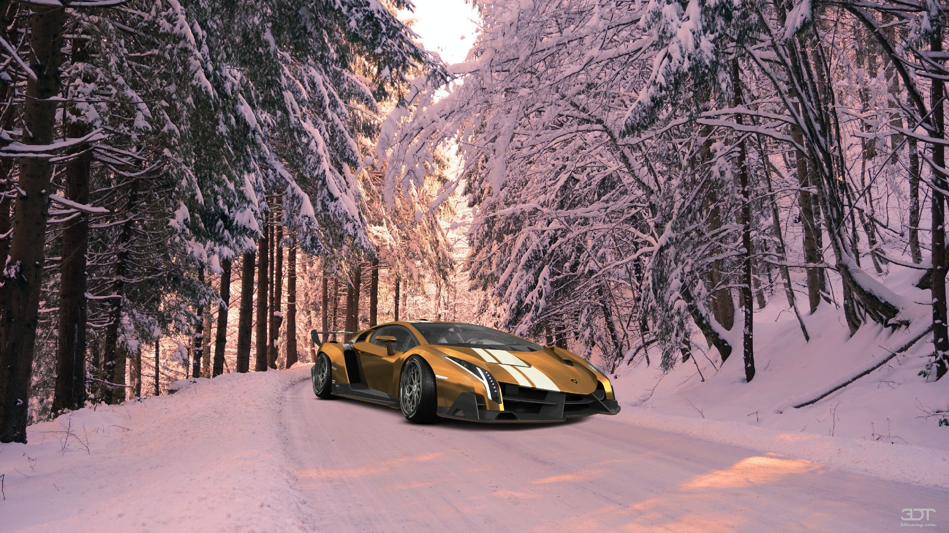 Lamborghini Veneno 2 Door Coupe 2013