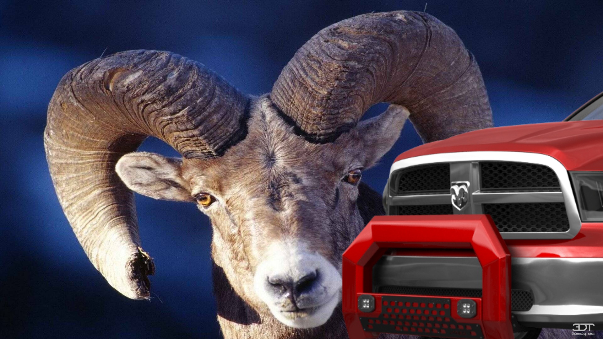 Dodge Ram 1500 5.7' box 4 Door pickup truck 2010 Images