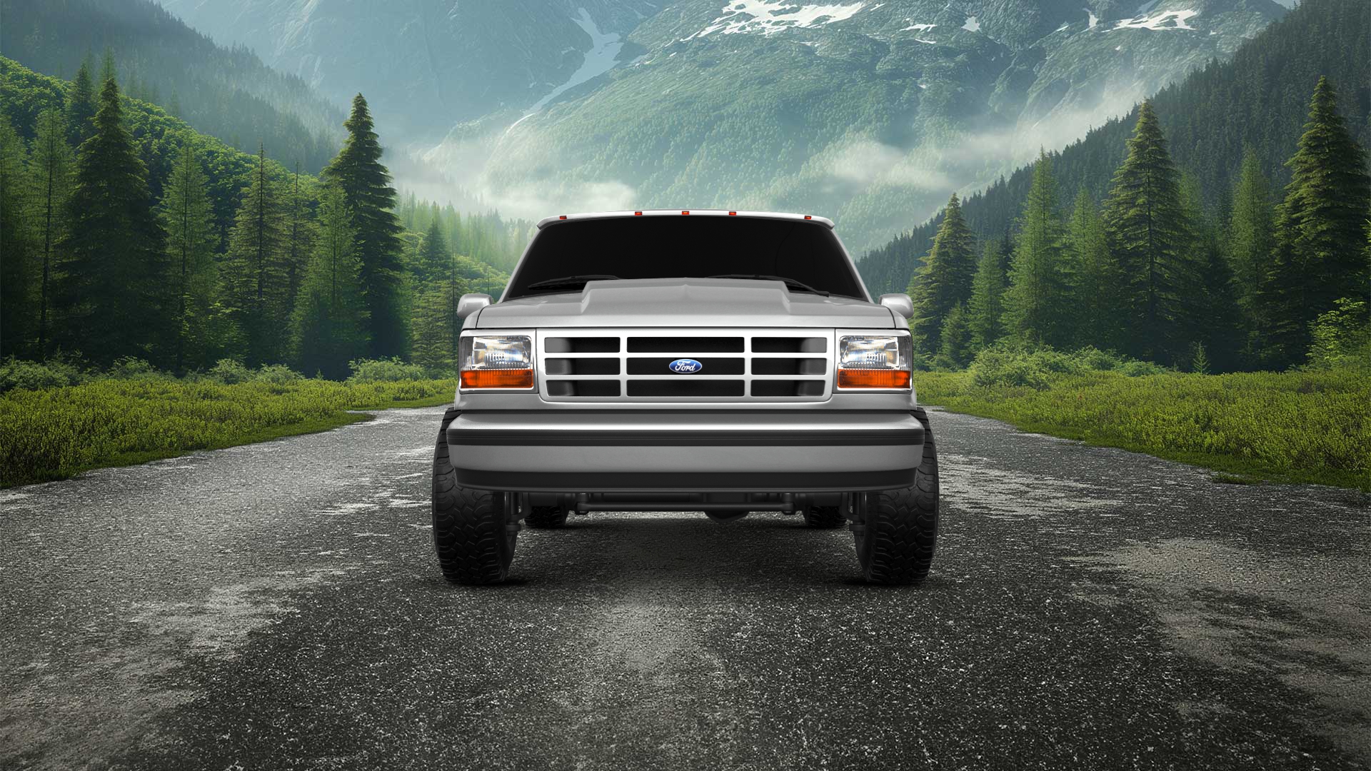 Ford F-150 Regular Cab 2 Door pickup truck 1992