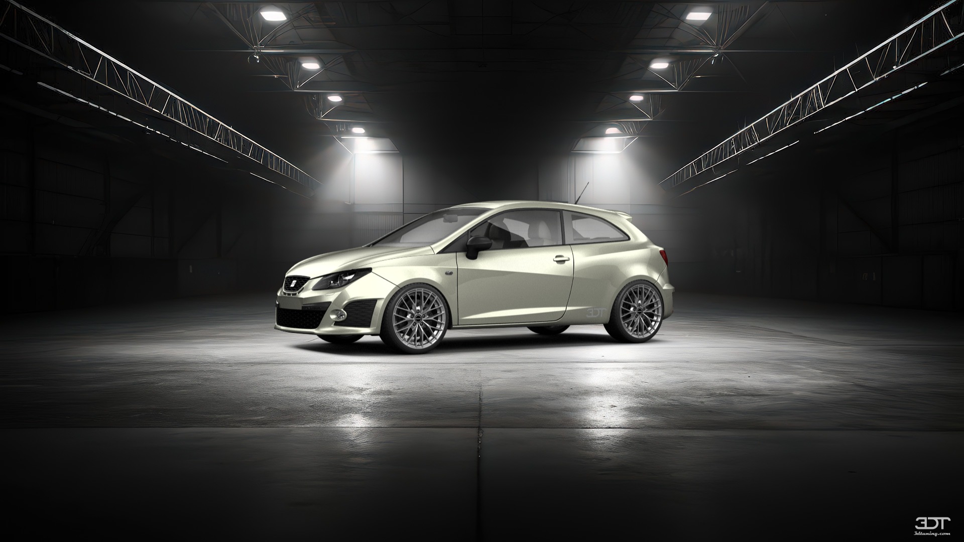 Seat Ibiza Cupra 3 Door Hatchback 2009 Images