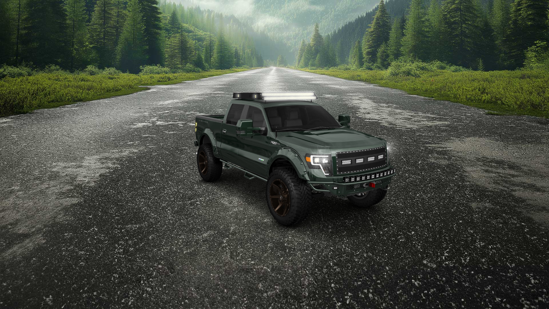 Ford F-150 Crew Cab 4 Door pickup truck 2013