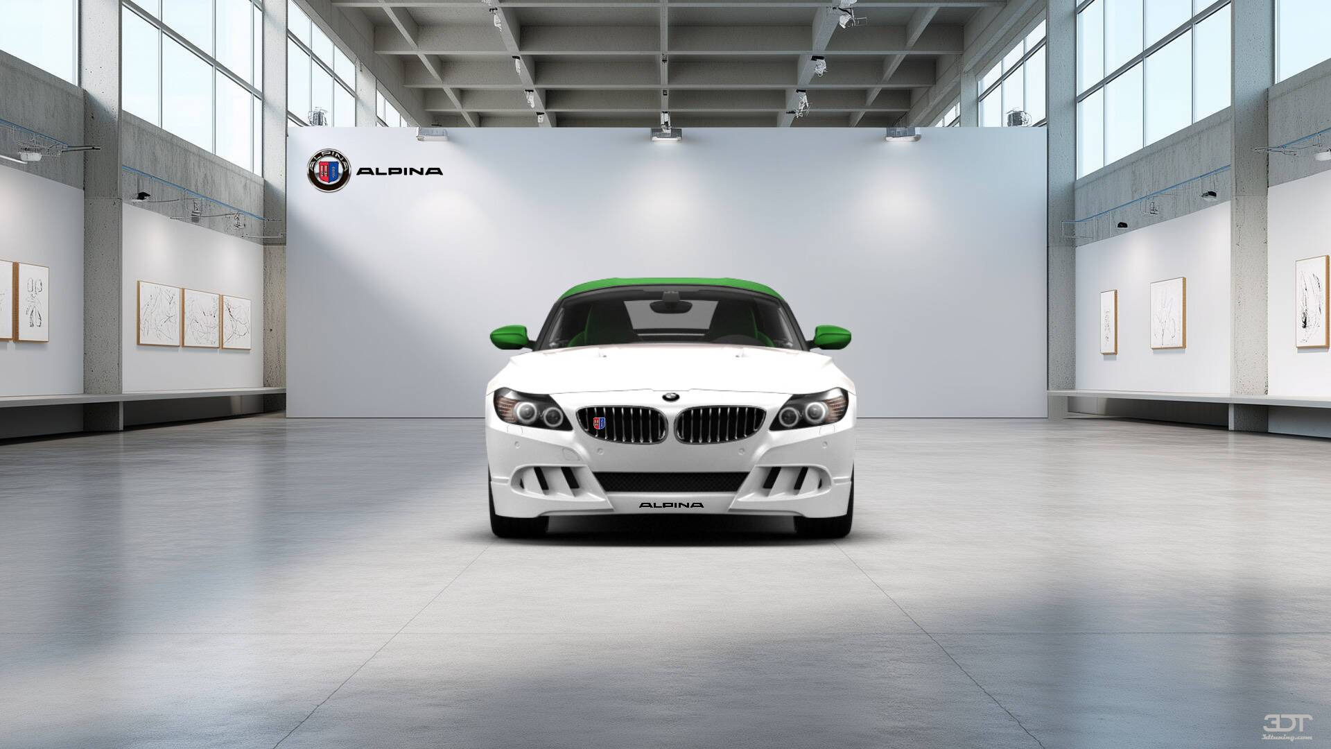 BMW Z4 Roadster 2009 Images