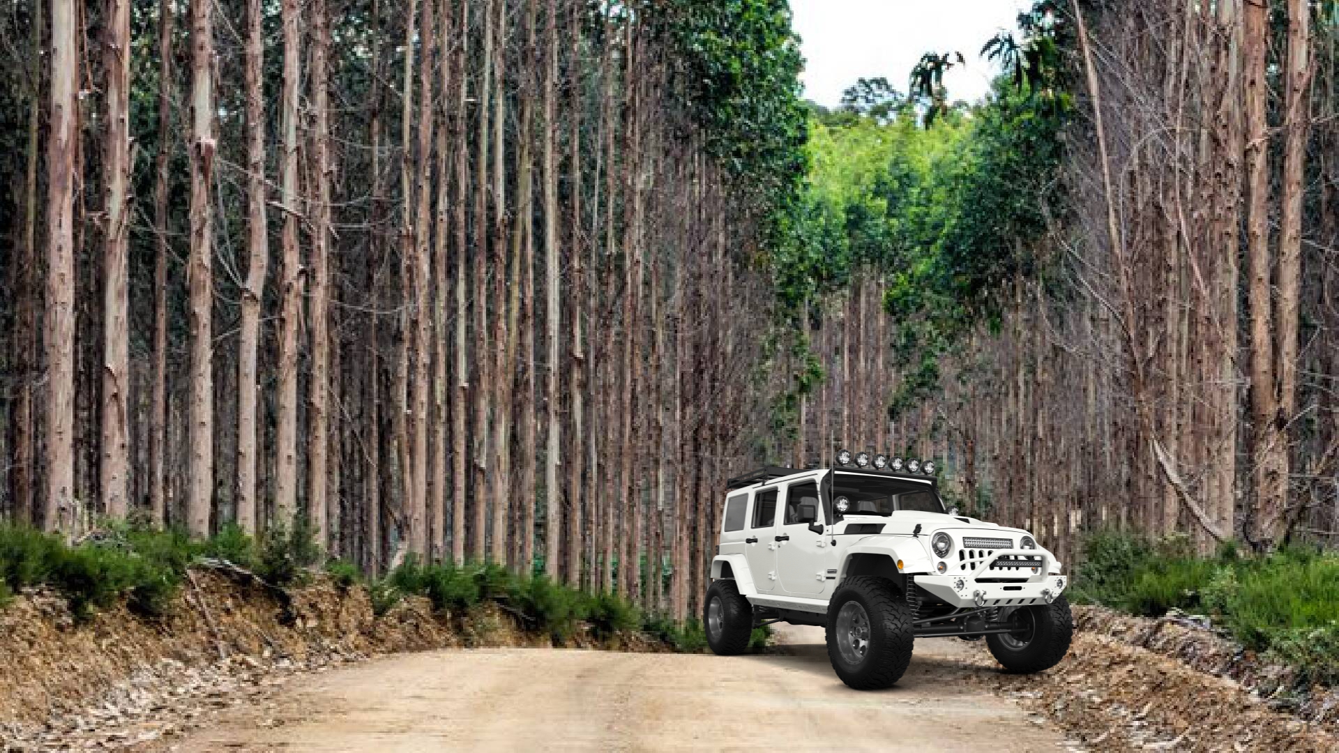 Jeep Wrangler Unlimited JK Rubicon Recon 2017
